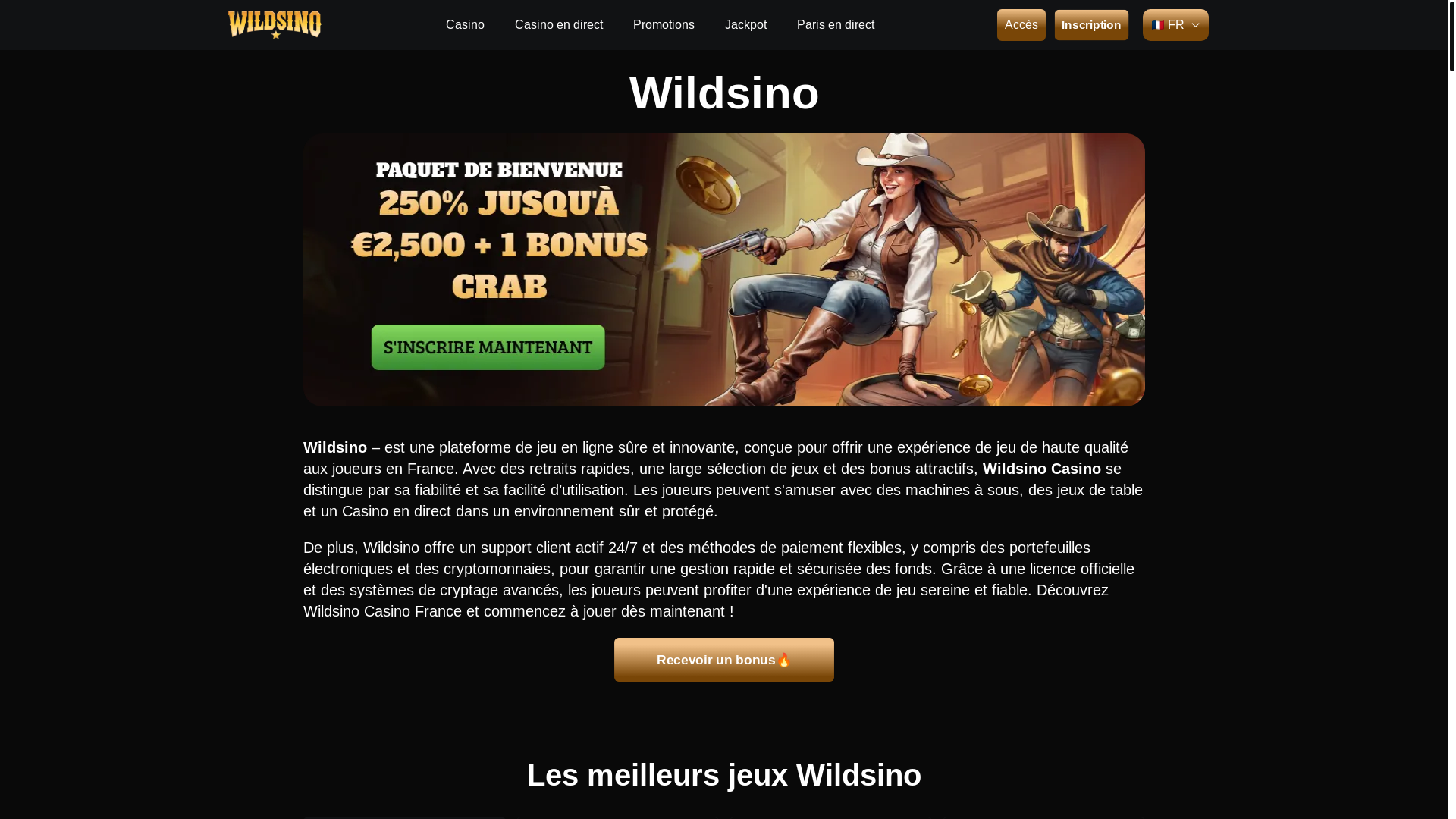 website screenshot of https://wildsinocasino-fr-6331.pages.dev/