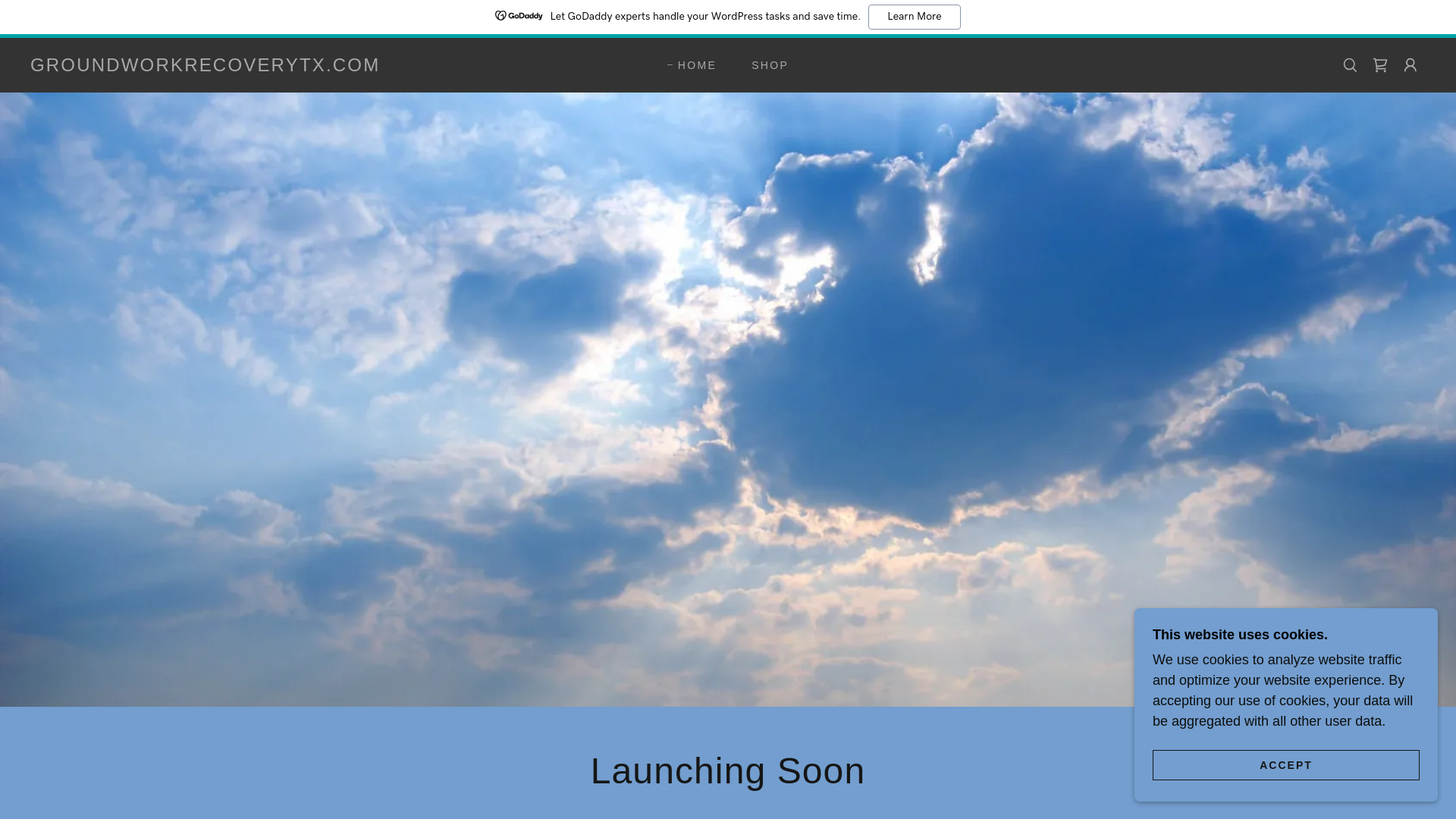 website screenshot of https://groundworkrecoverytx.com/