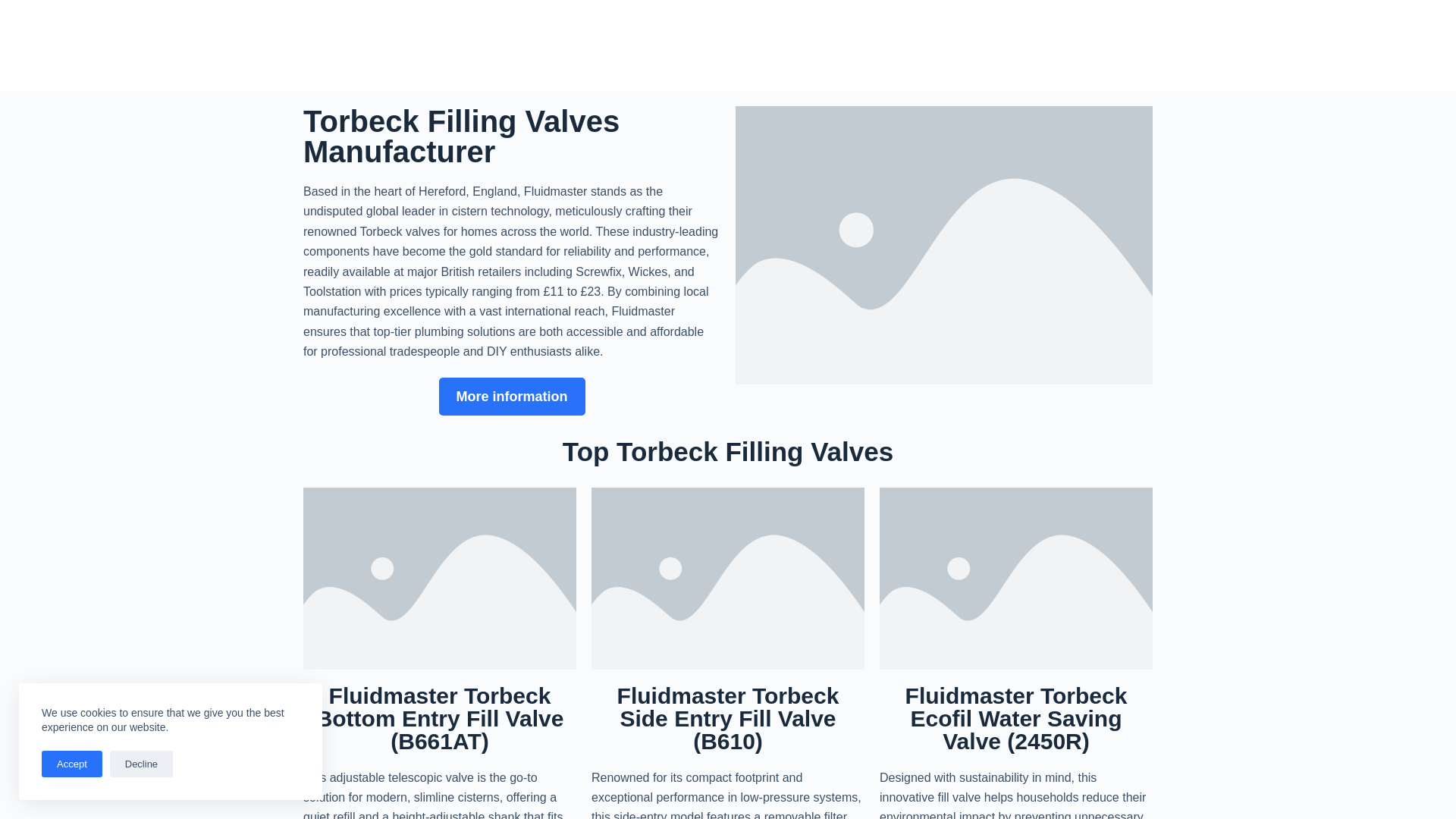 website screenshot of https://torbeckvalve.co.uk/