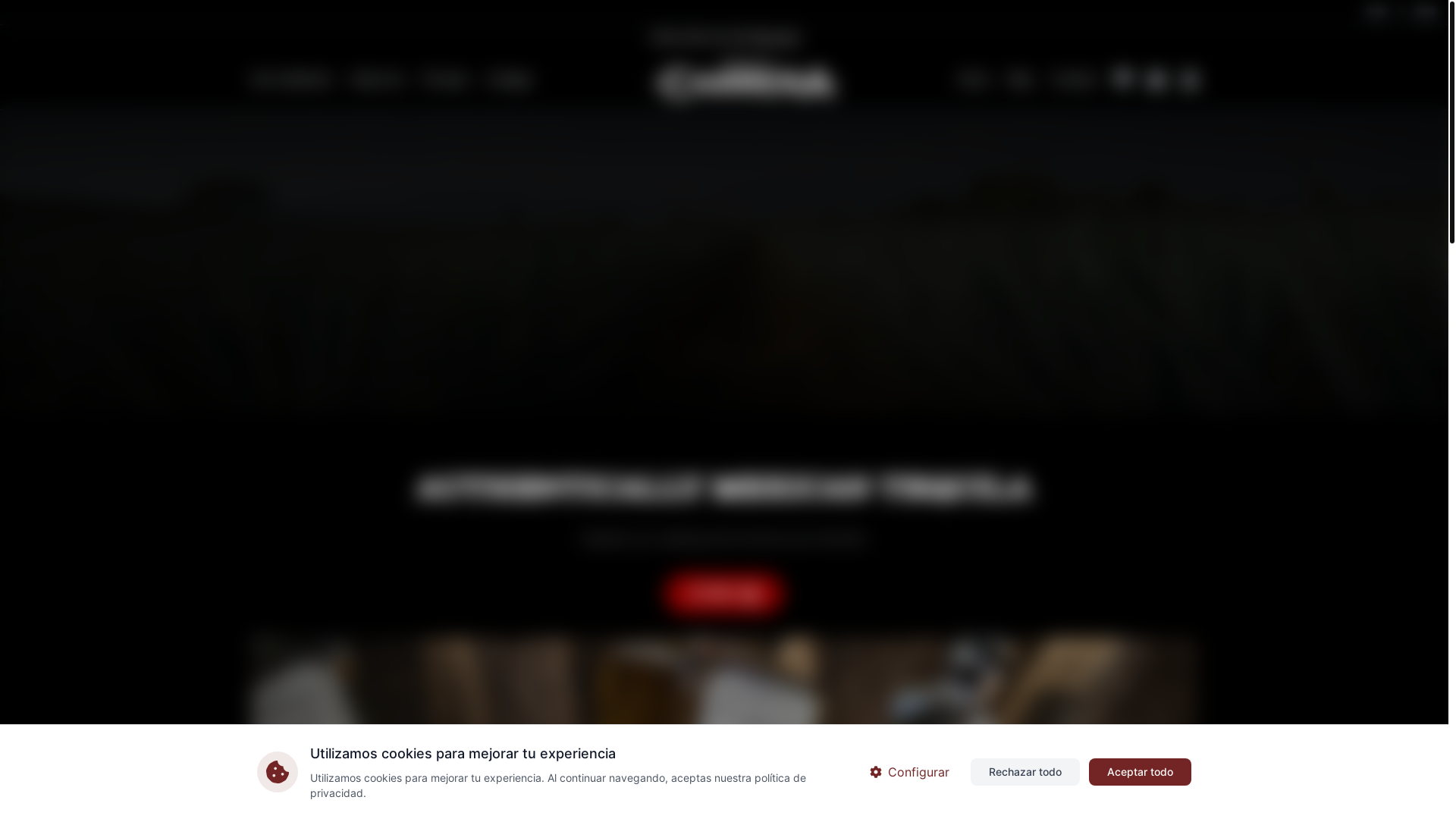 website screenshot of https://tequilacarrera.shop/