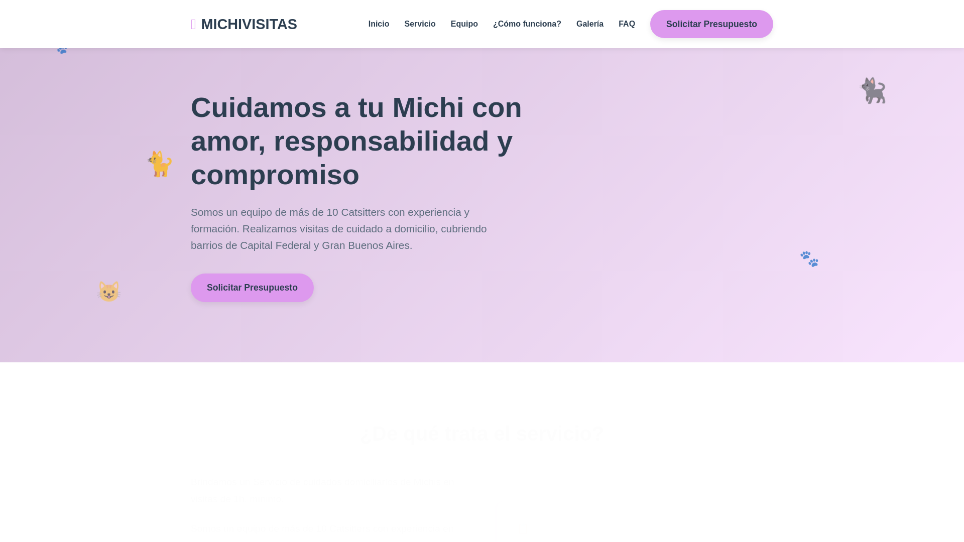 website screenshot of https://michivisitas.com.ar