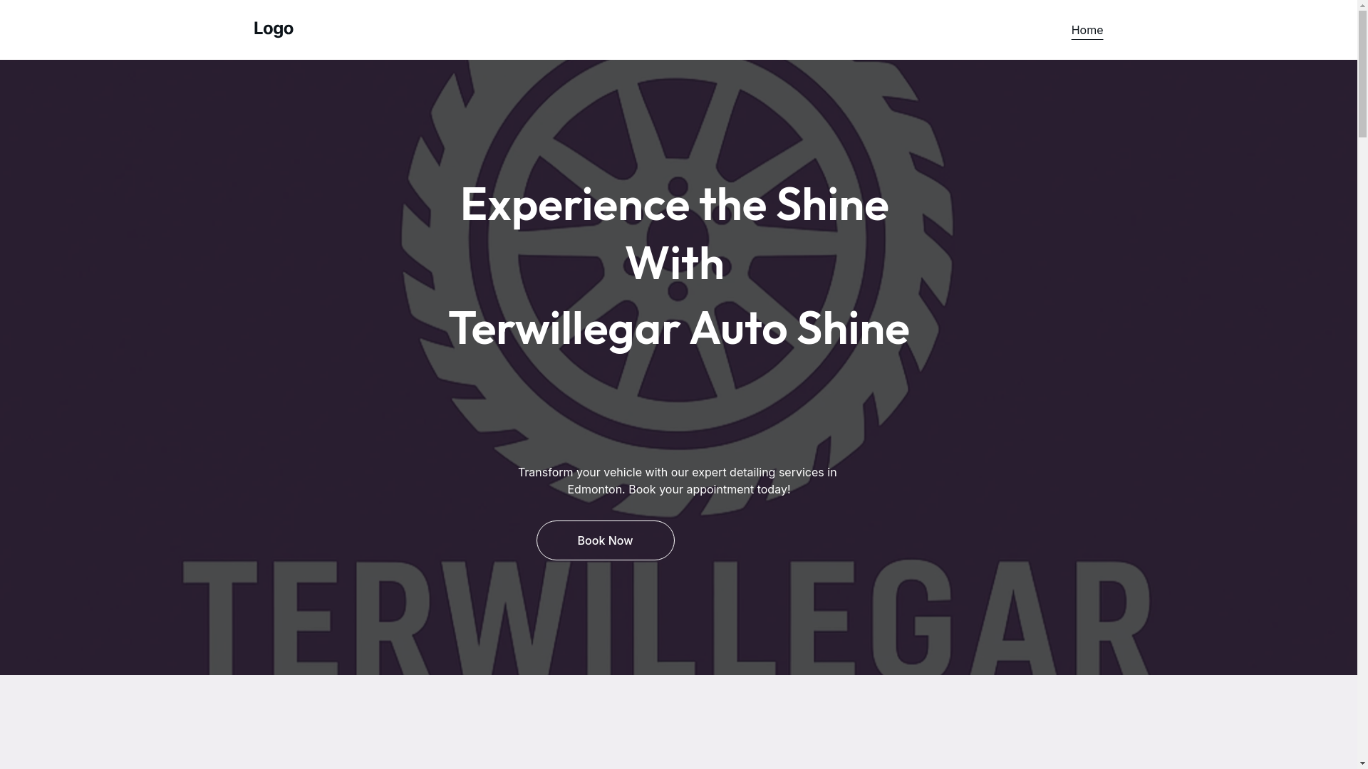 website screenshot of https://terwillegarautoshine.site/