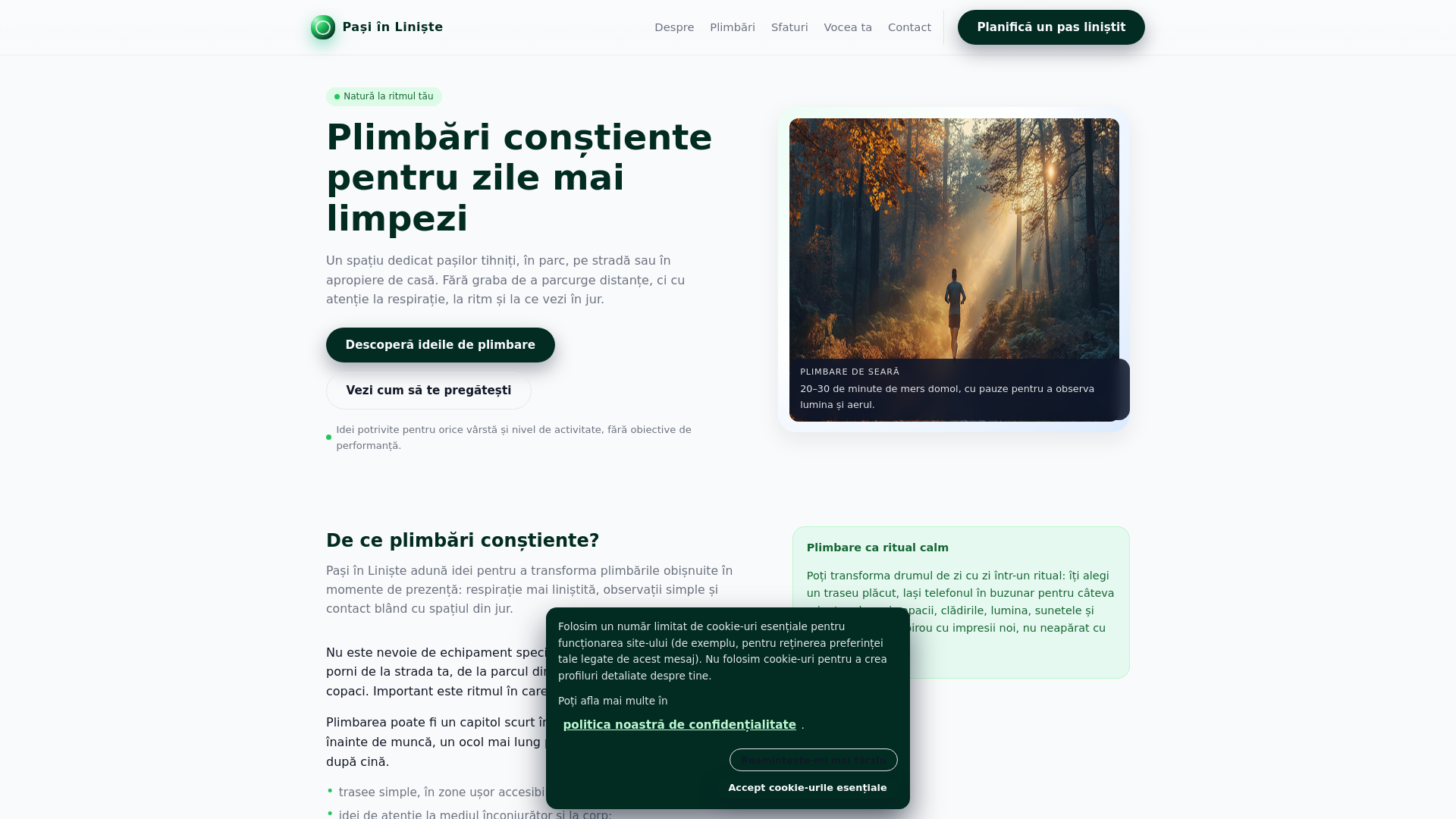website screenshot of https://roerufiba.online/
