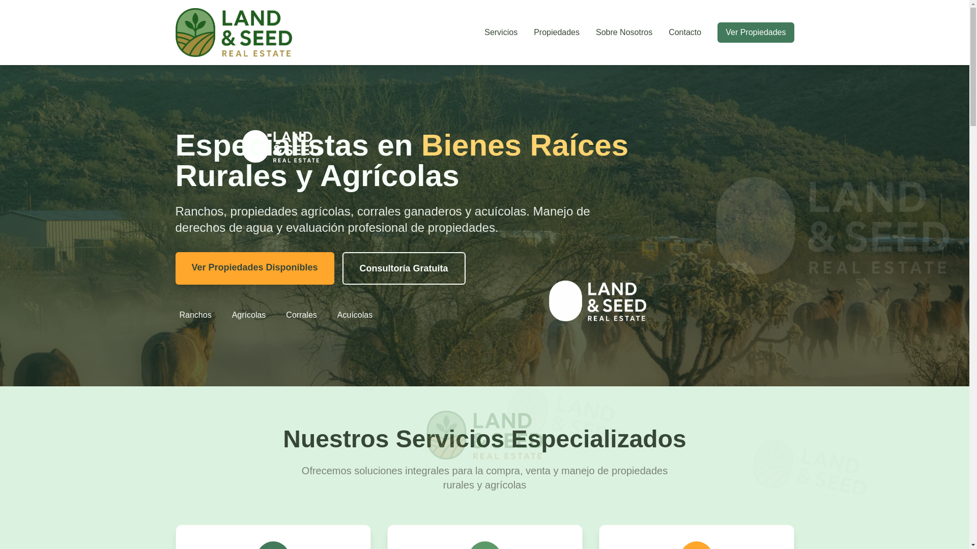 website screenshot of https://landseedmx.com/