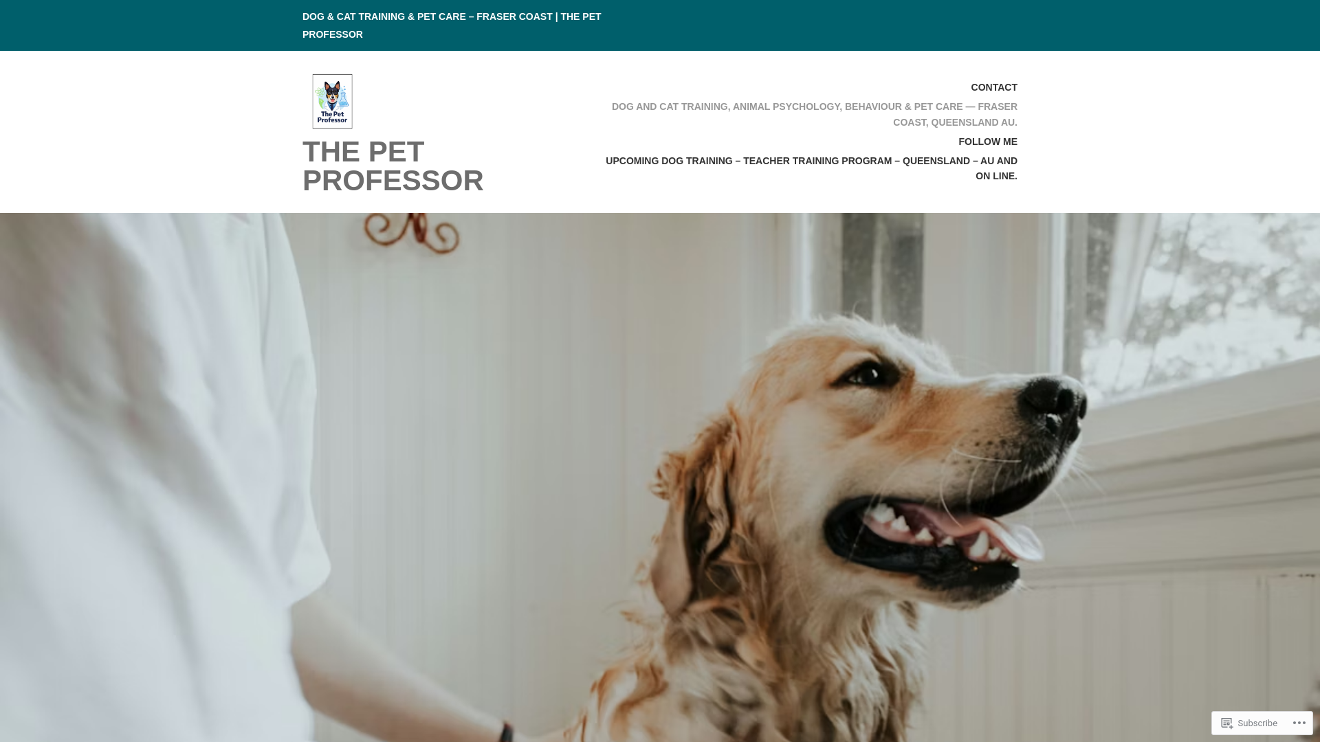 website screenshot of https://mypetprofessor.com