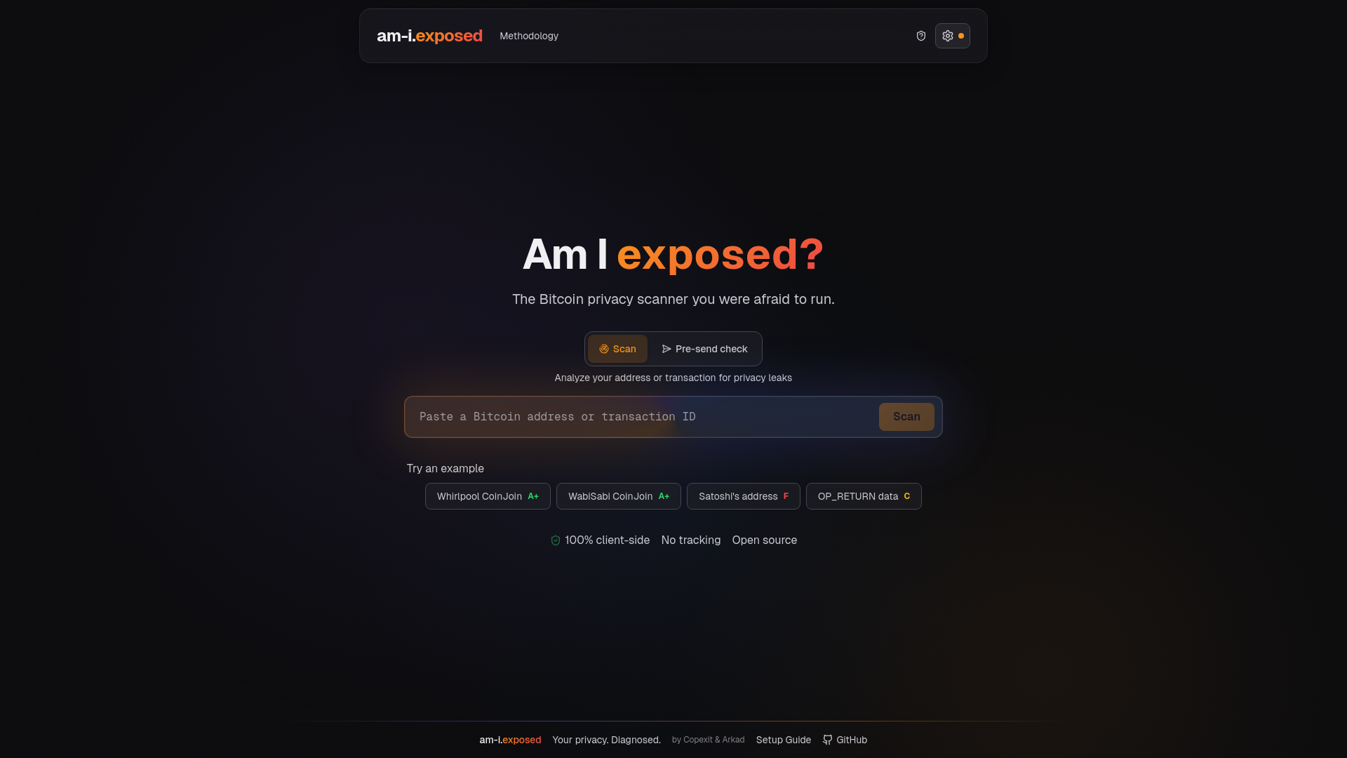 website screenshot of https://am-i.exposed/