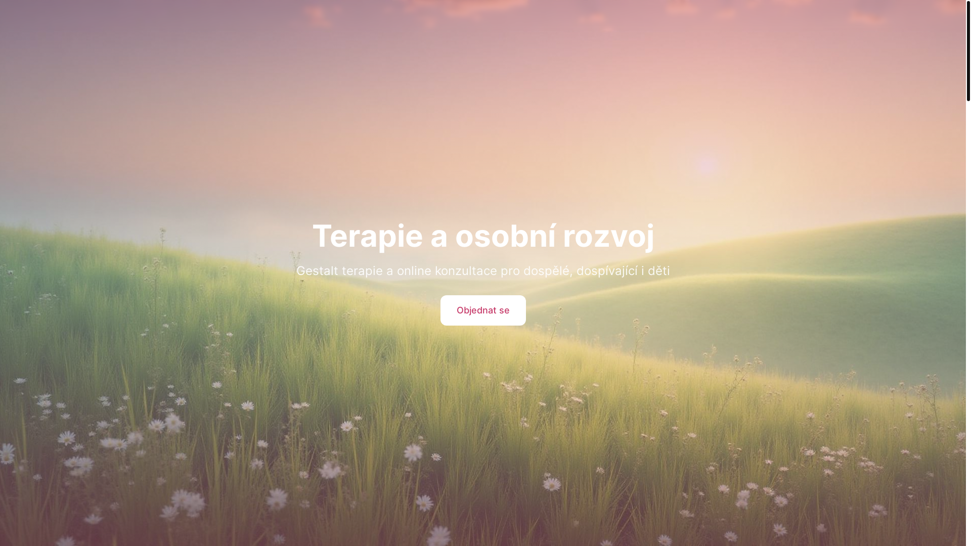 website screenshot of https://terapeutkapetra.cz/