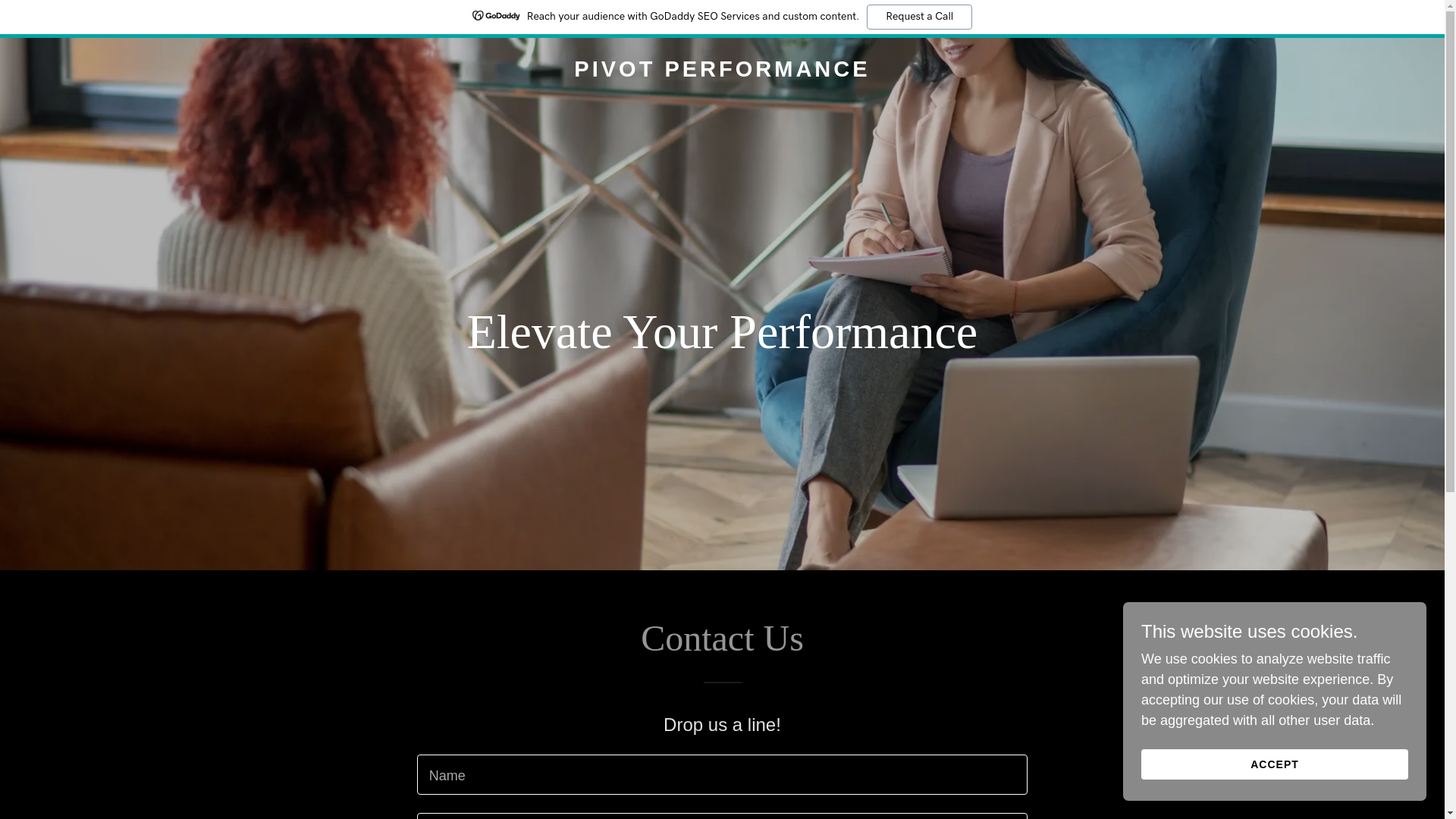 website screenshot of https://pivotperfomance.com/