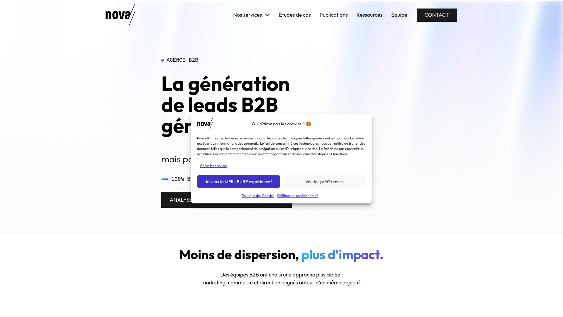 website screenshot of https://b2bagencenova.com/