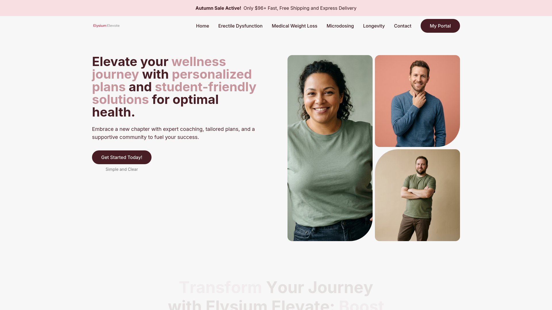 website screenshot of https://elysium-elevate.store