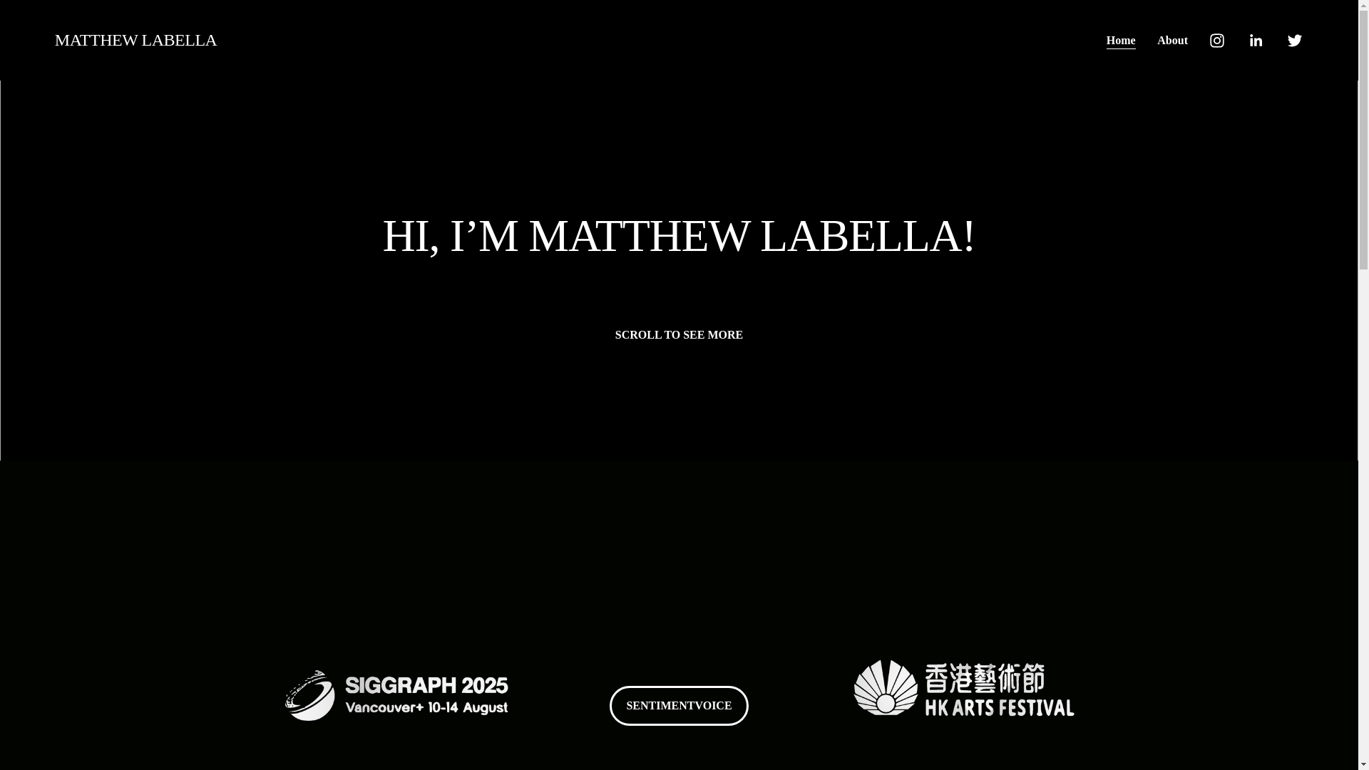 website screenshot of https://matthewlabella.com/