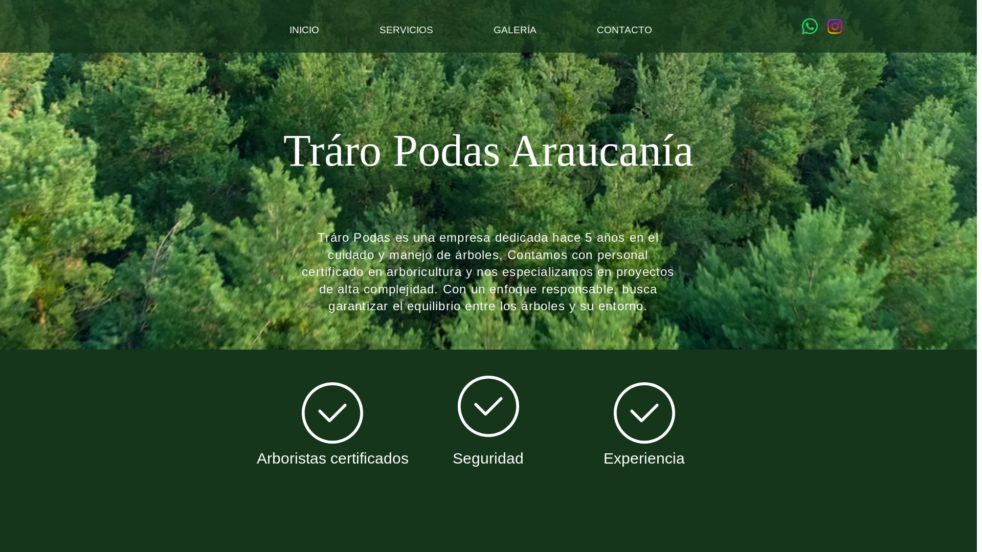 website screenshot of https://podasaraucania.com/