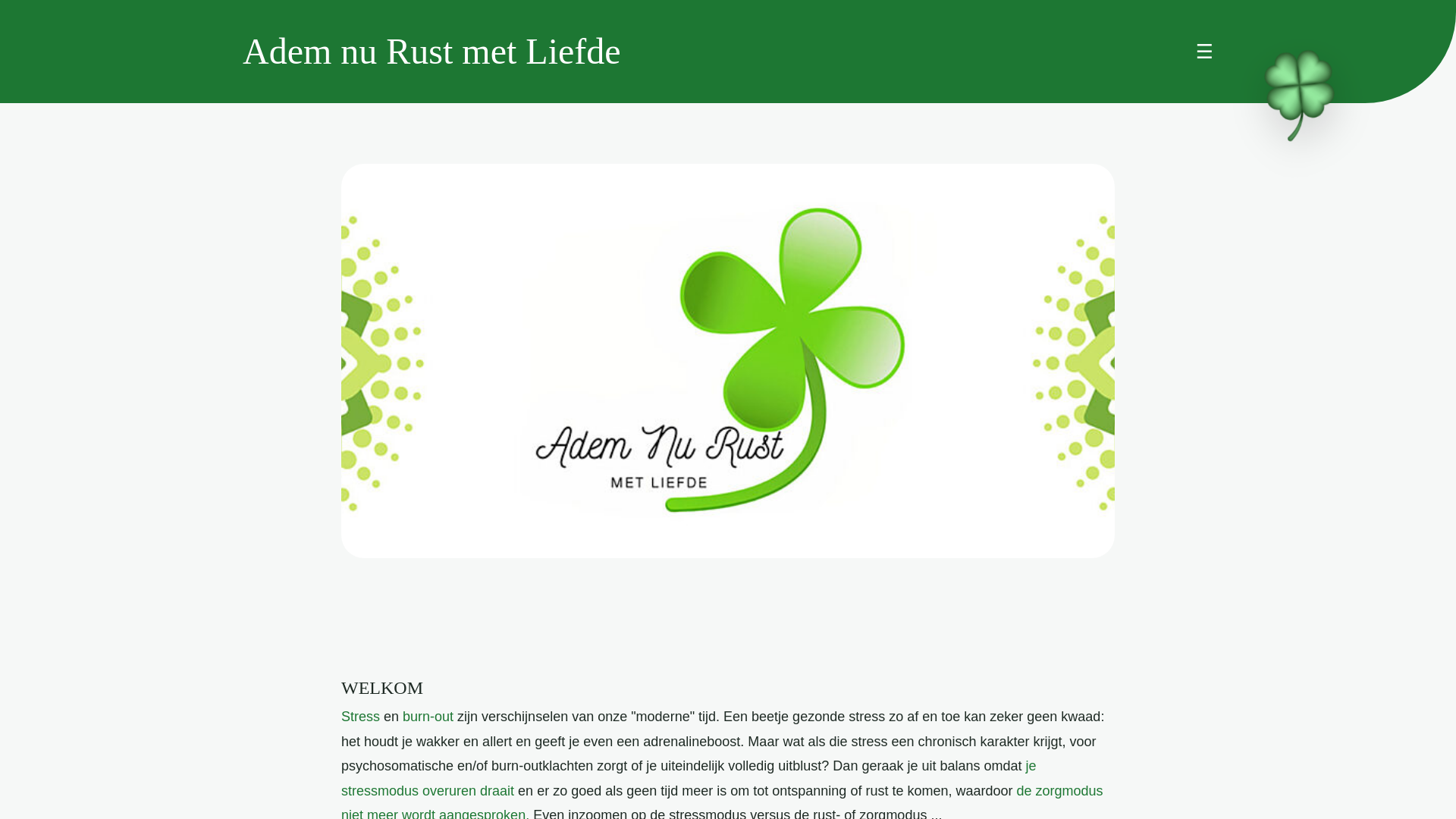 website screenshot of https://ademnurustmetliefde.com
