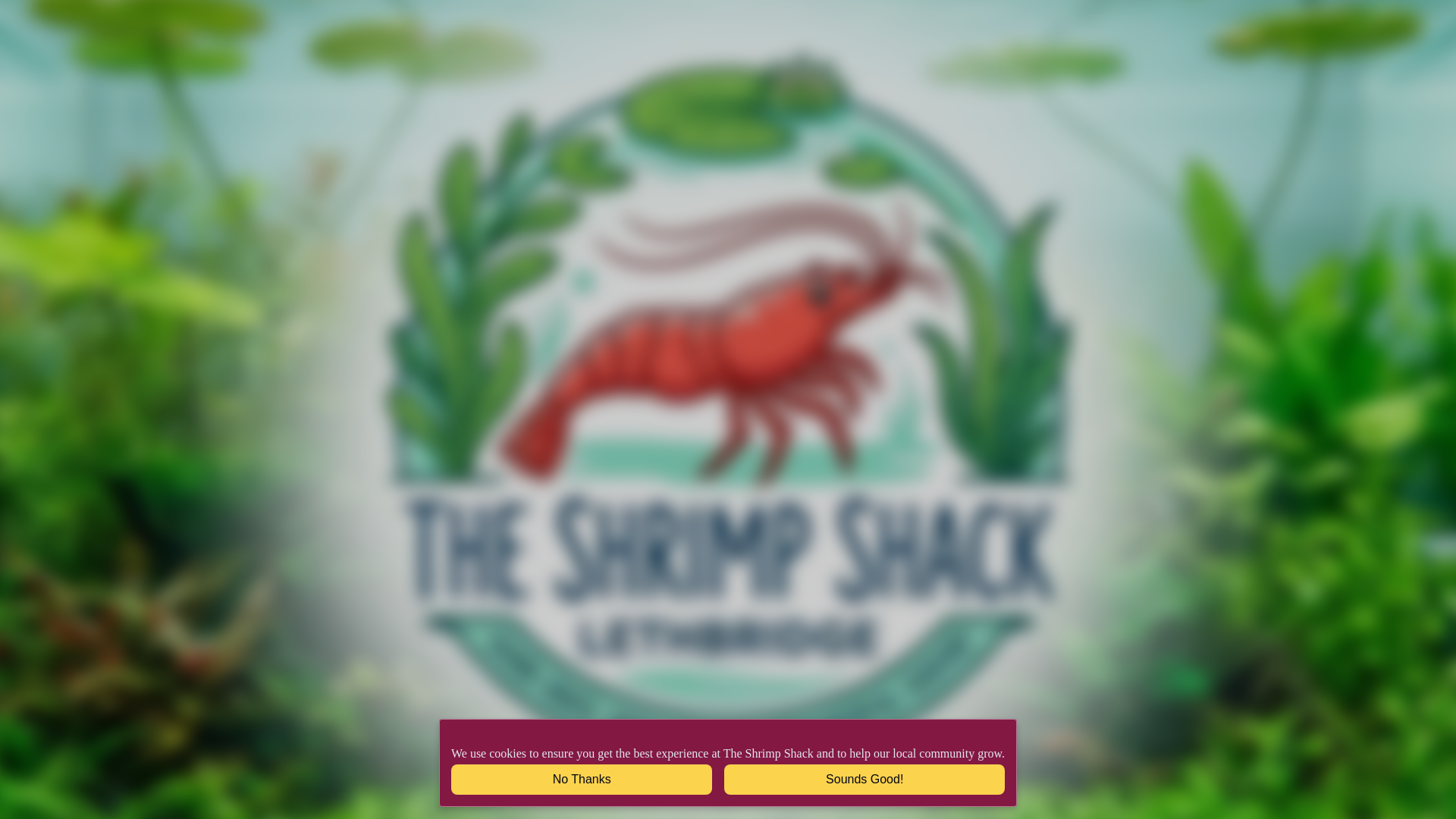 website screenshot of https://shrimpshack.ca/