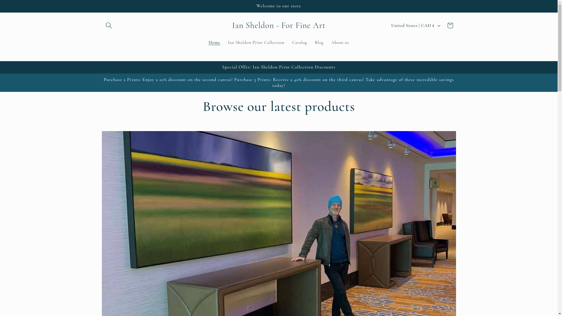 website screenshot of https://iansheldonart.com/