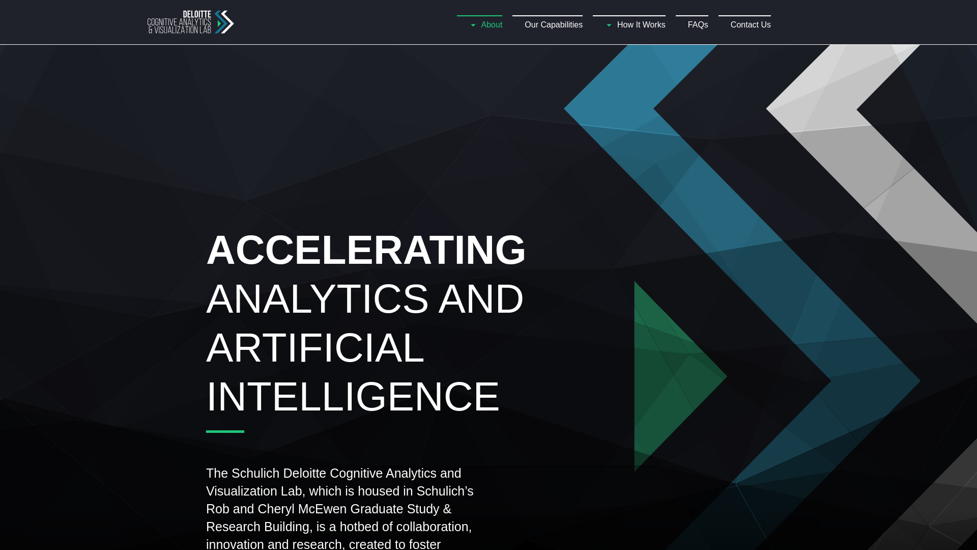 website screenshot of https://dschulichlab.ai/