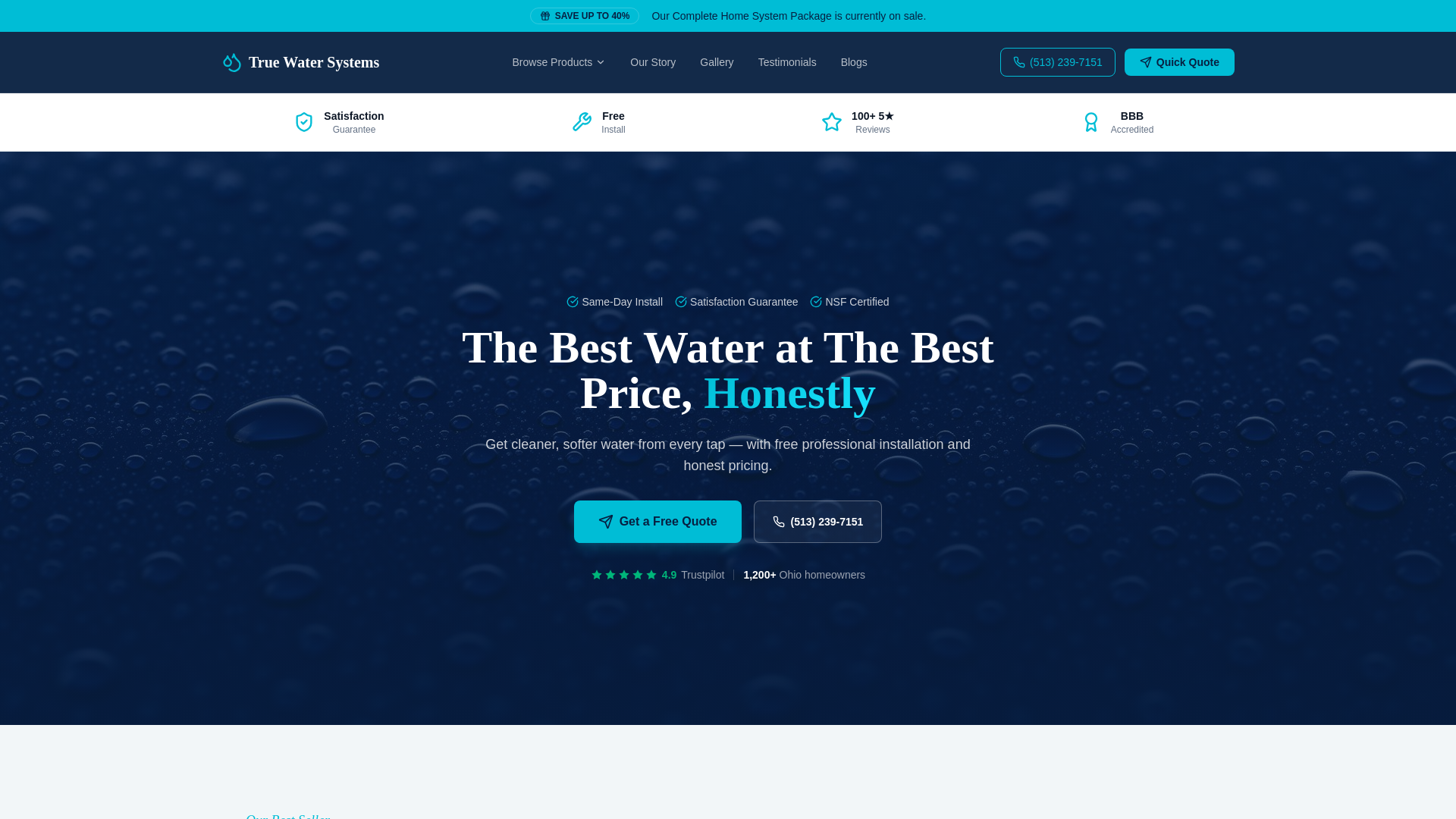 website screenshot of https://thetruewatersystem.com/