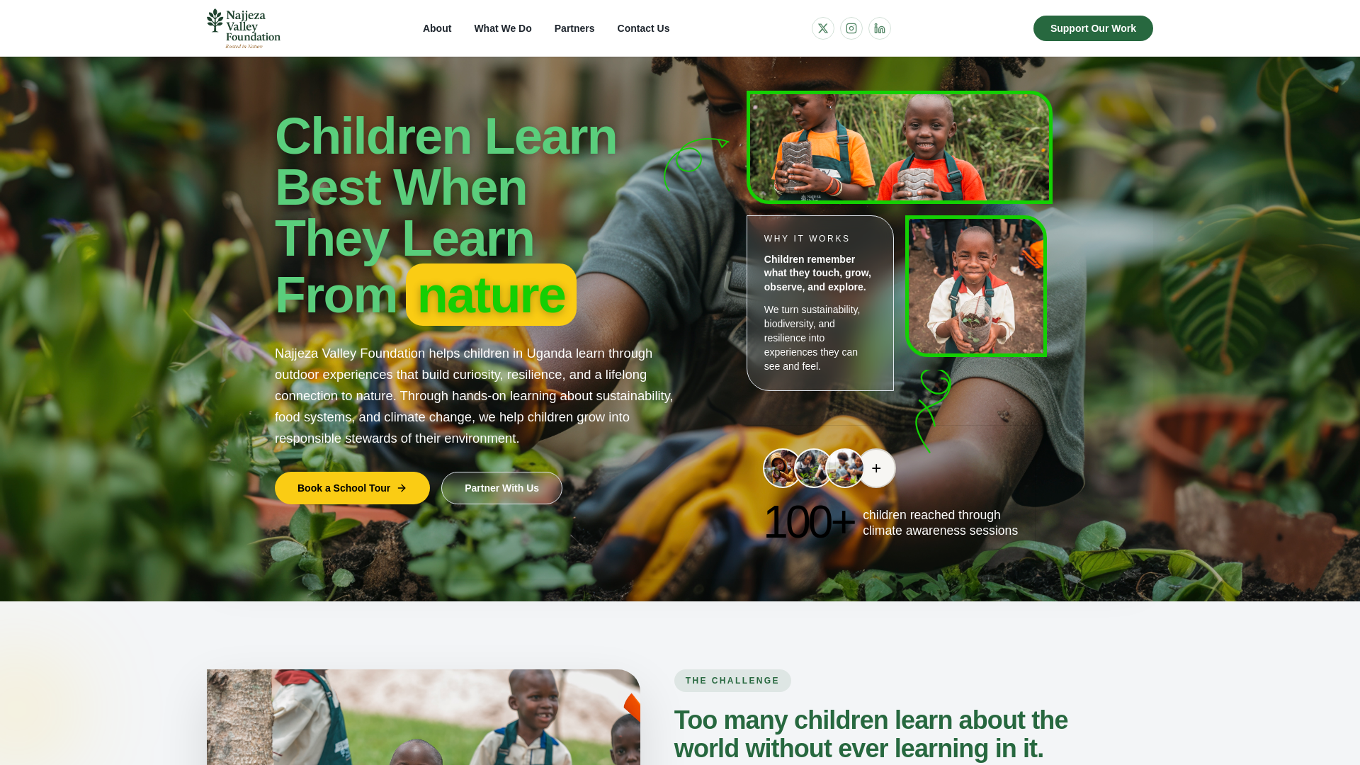 website screenshot of https://najjezavalleyfoundation.org/