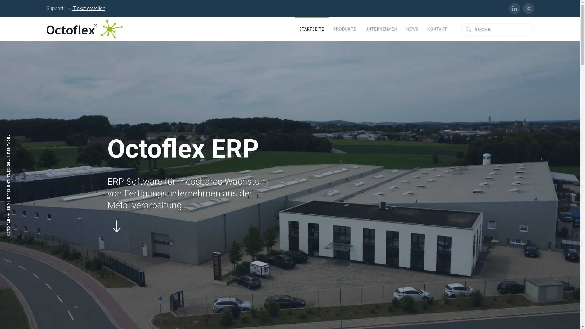 website screenshot of https://octoflex-software.de/