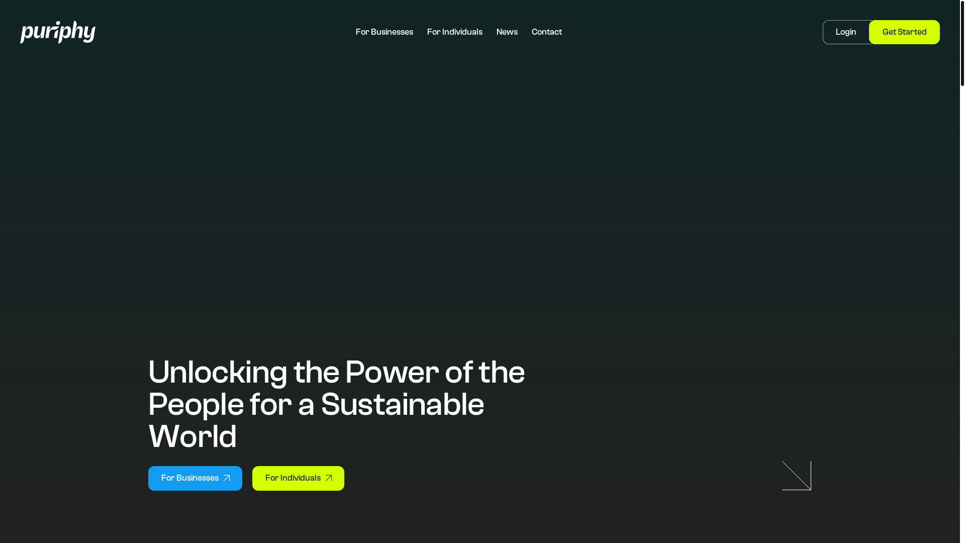 website screenshot of https://puriphyimpact.com/