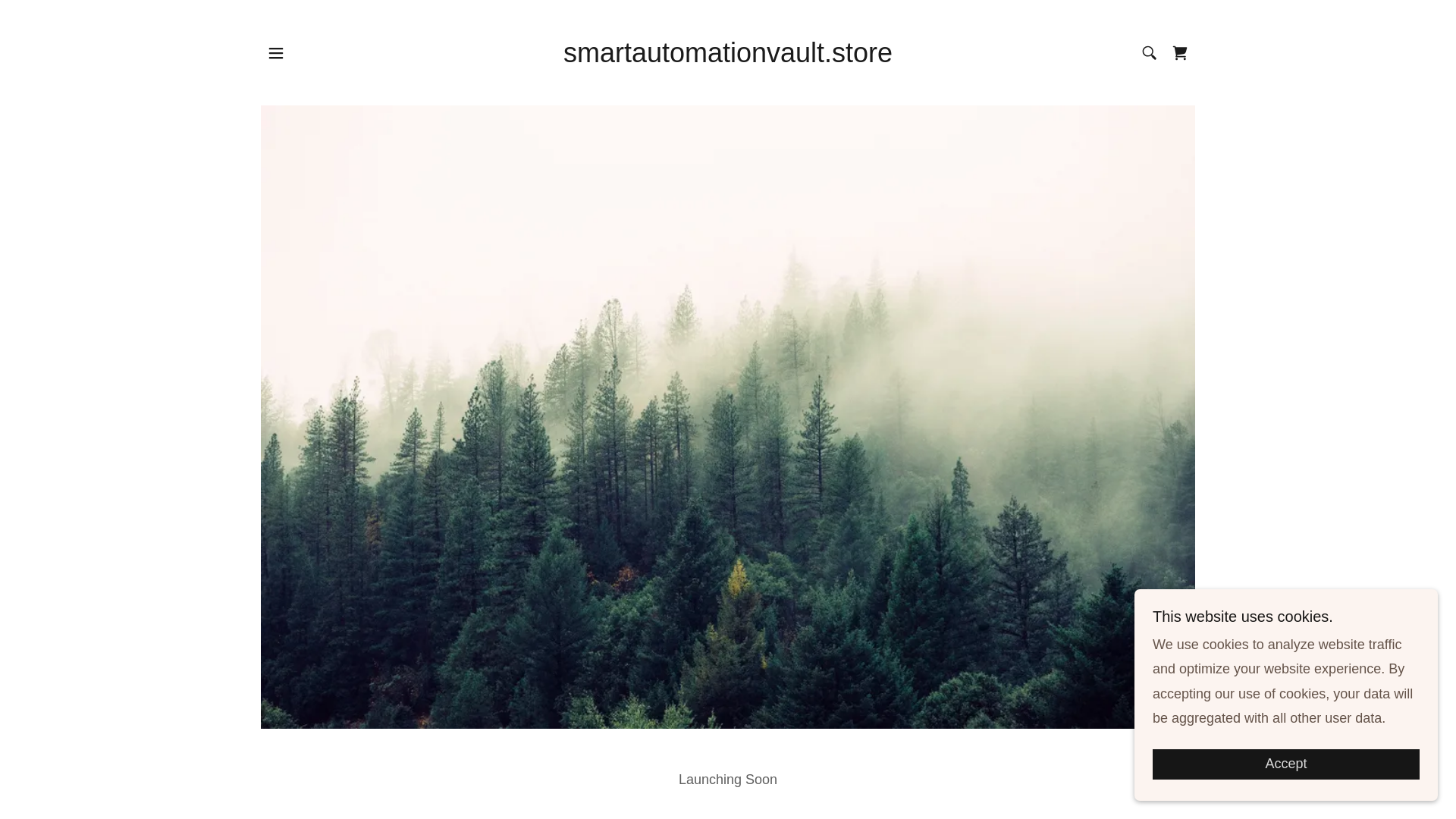 website screenshot of https://smartautomationvault.store/