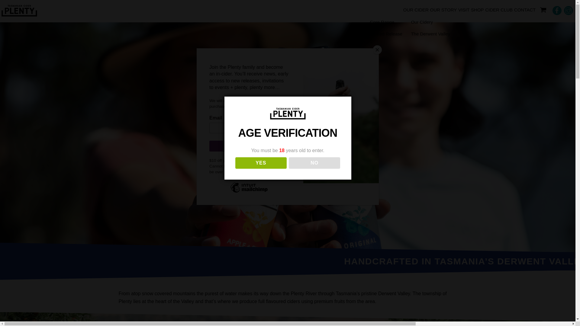 website screenshot of https://plentycider.online/