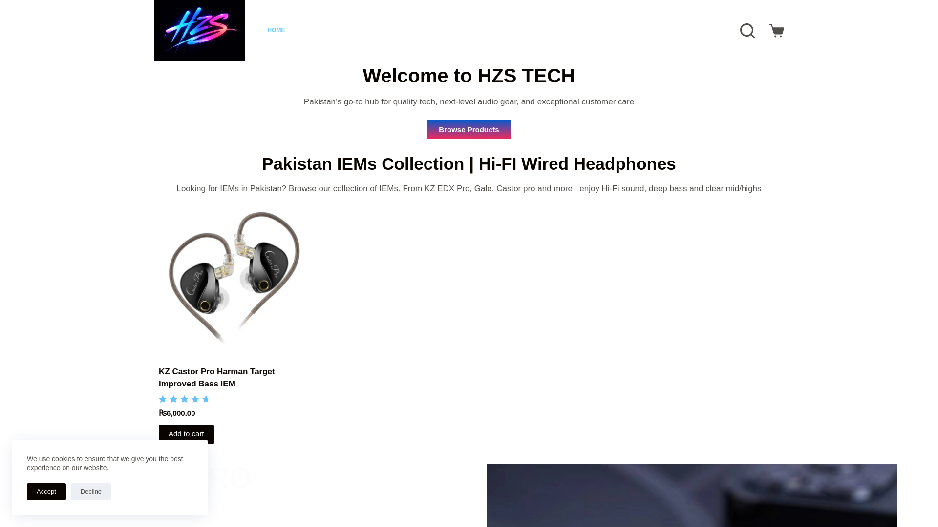 website screenshot of https://hzstech.pk/