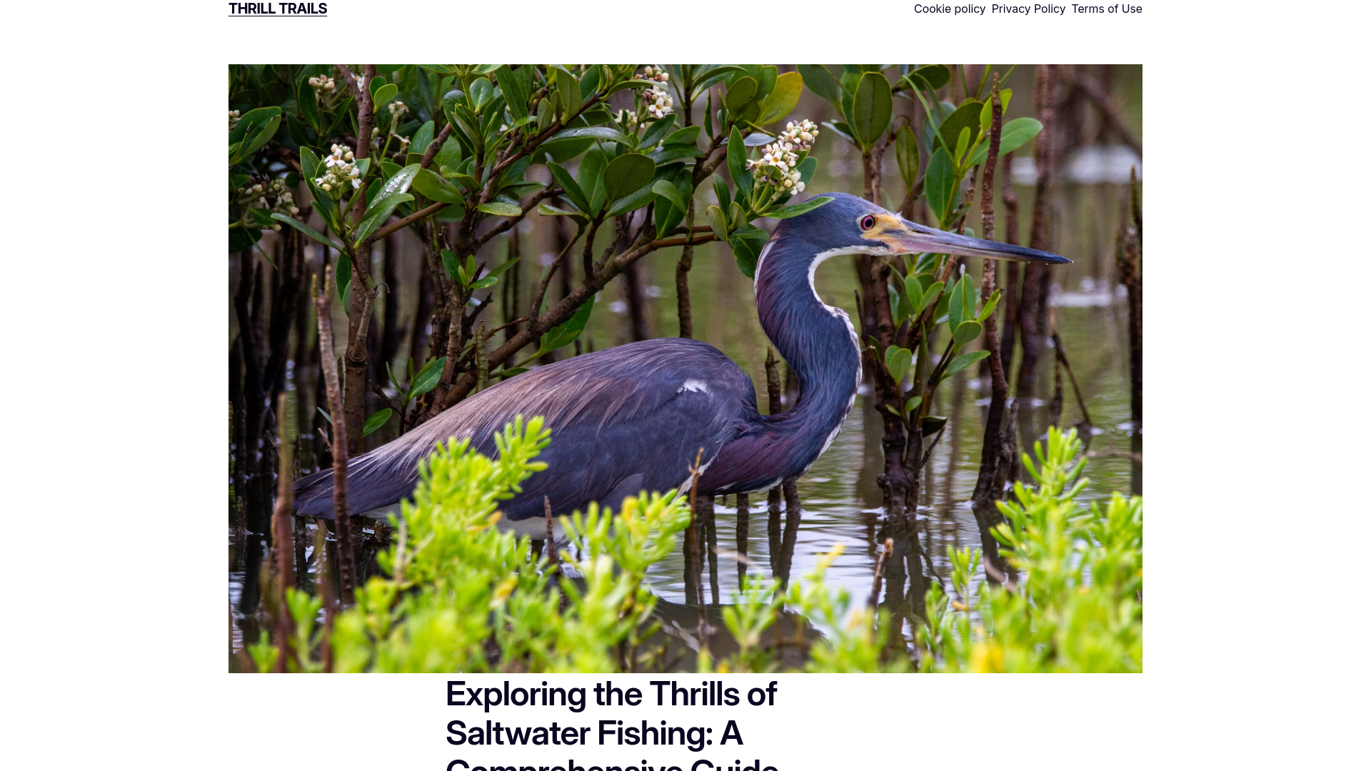 website screenshot of https://money-for-placing-articles.com