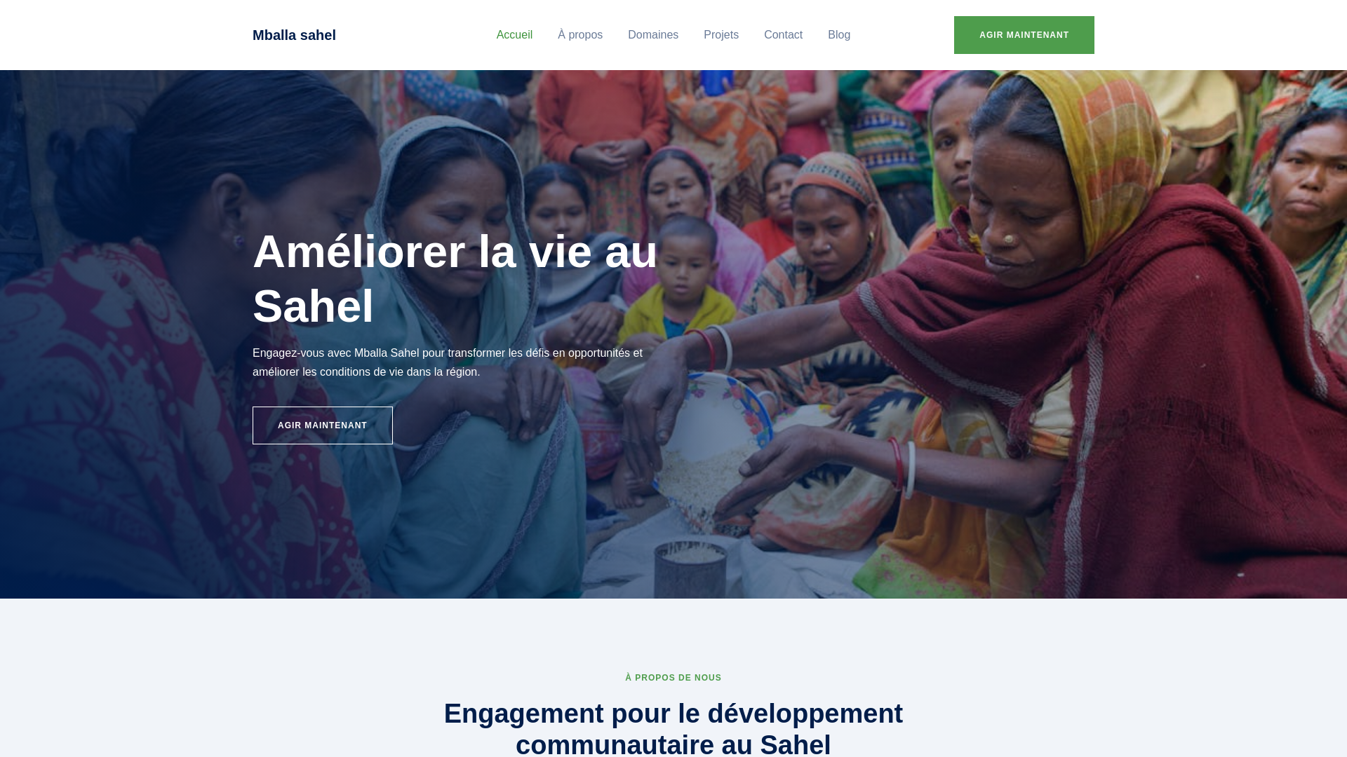 website screenshot of https://mballasahel-bf.com/