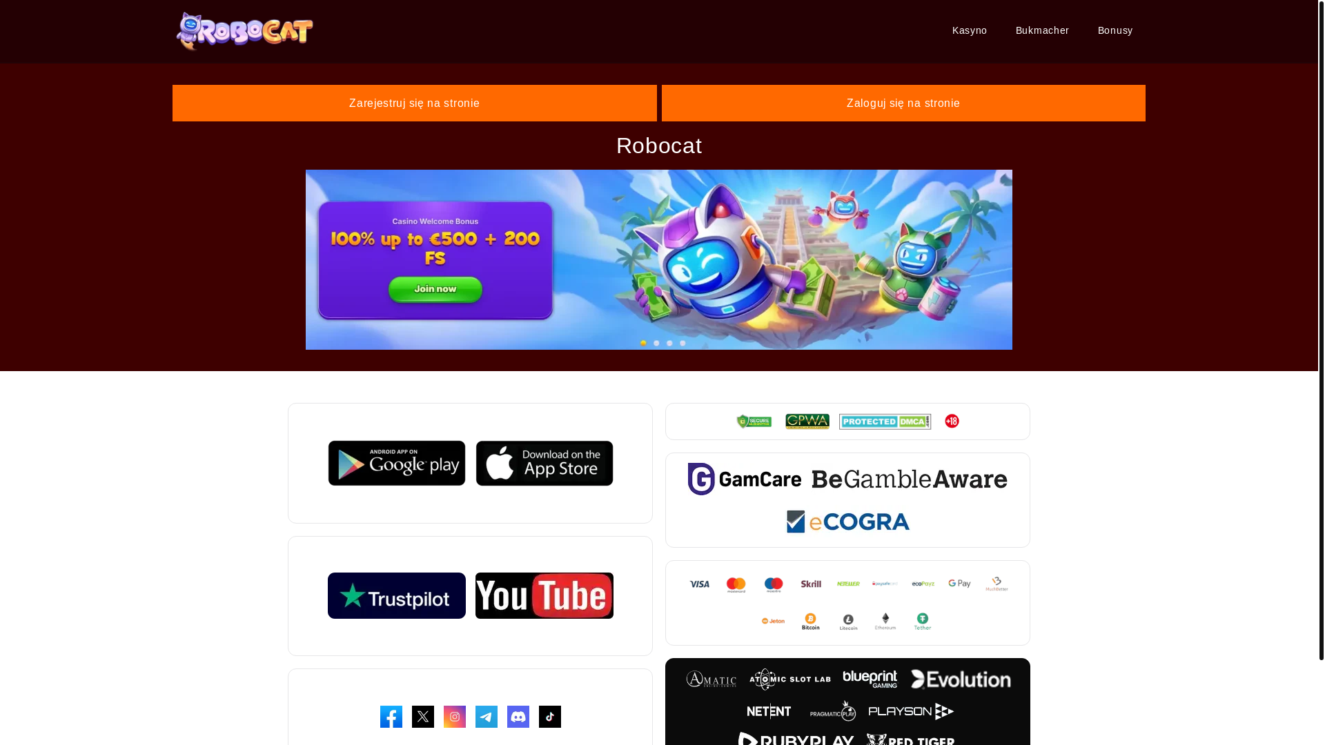 website screenshot of https://robocatpolska.pl/