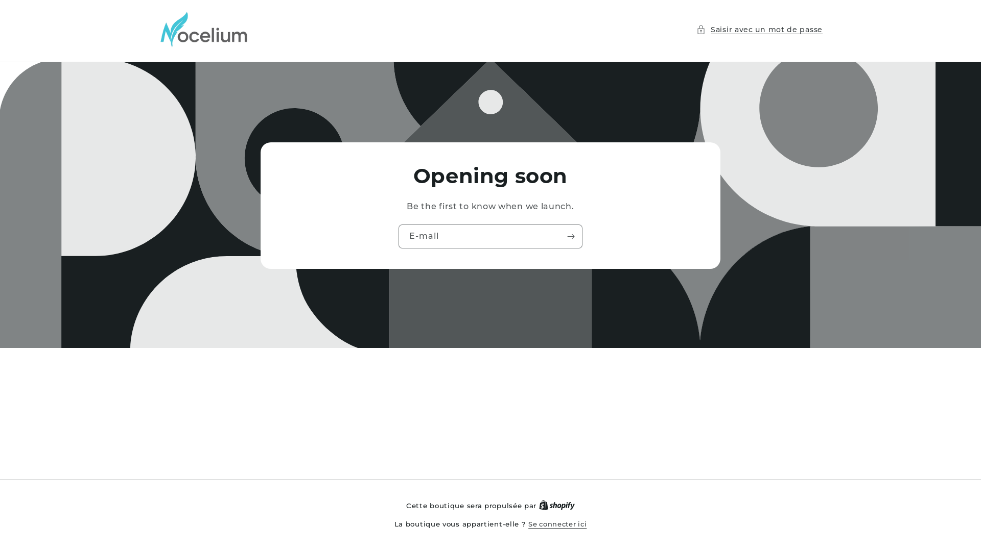 website screenshot of https://nocelium.com/