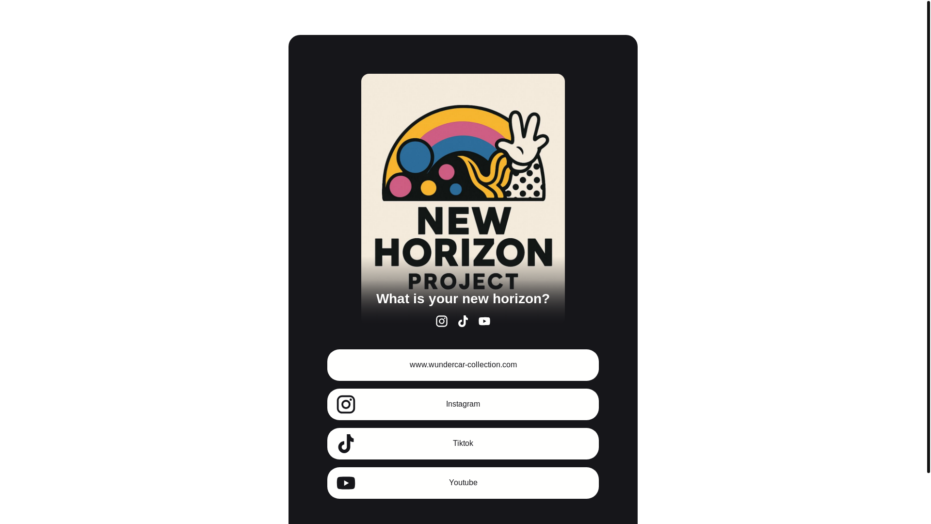 website screenshot of https://newhorizonproject.org/