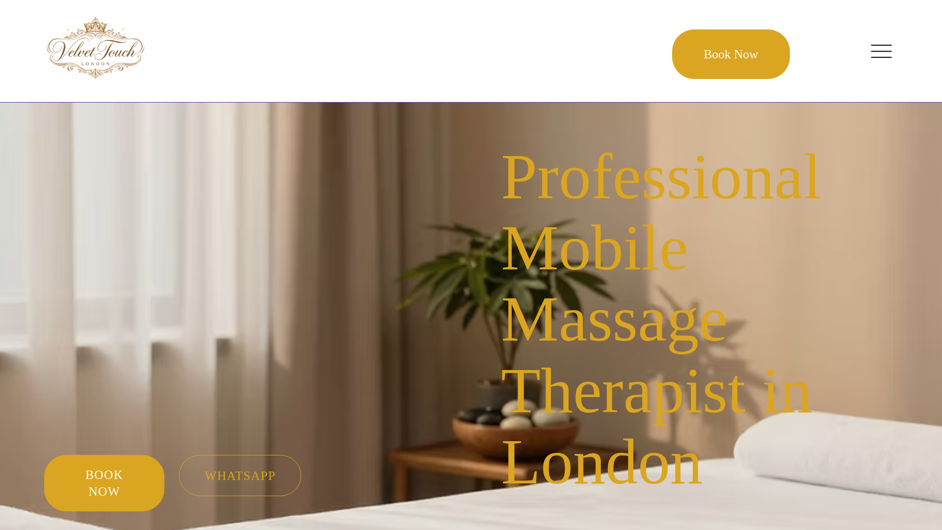 website screenshot of https://velvettouchlondon.com/