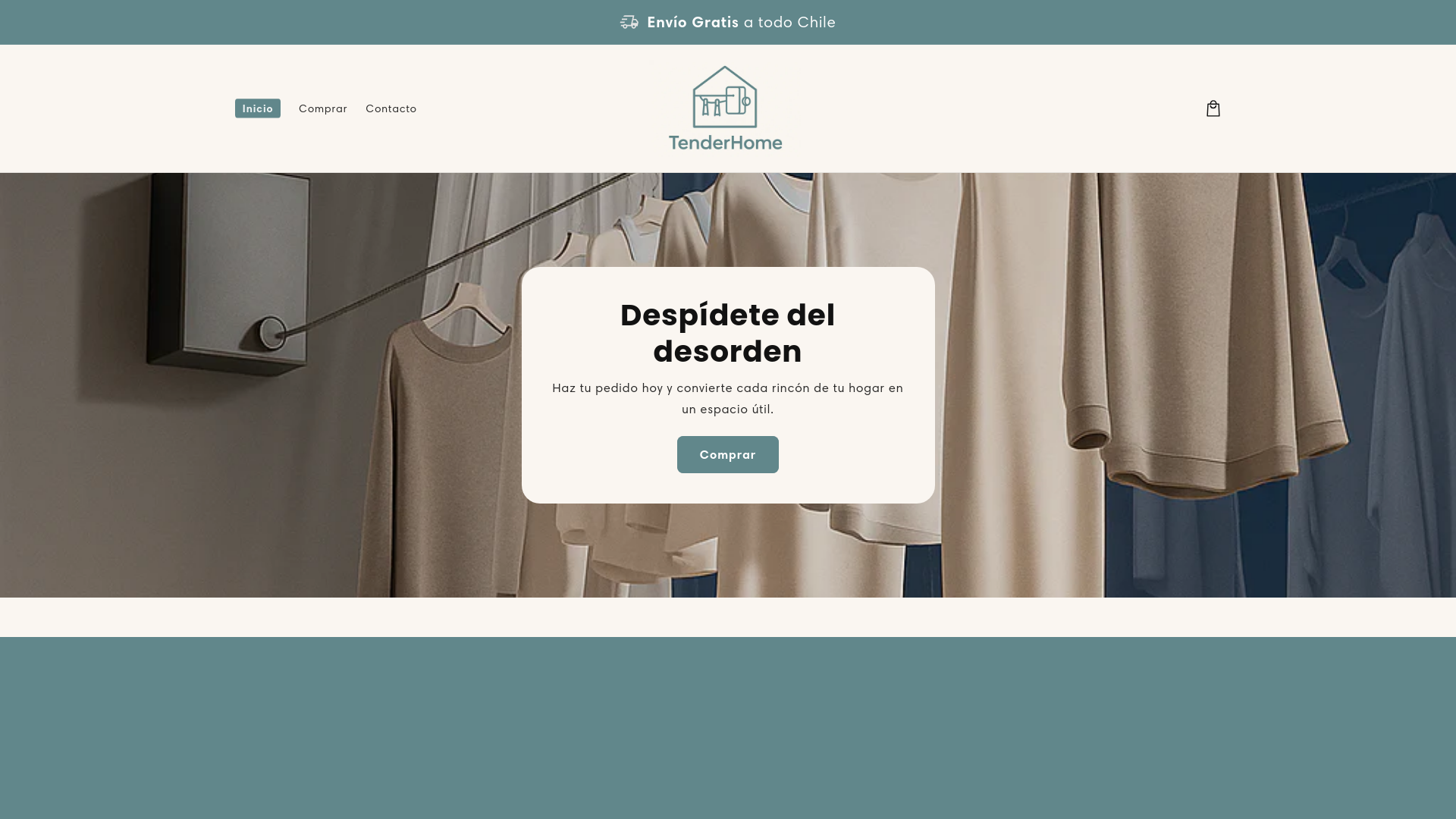 website screenshot of https://tenderhomechile.com/