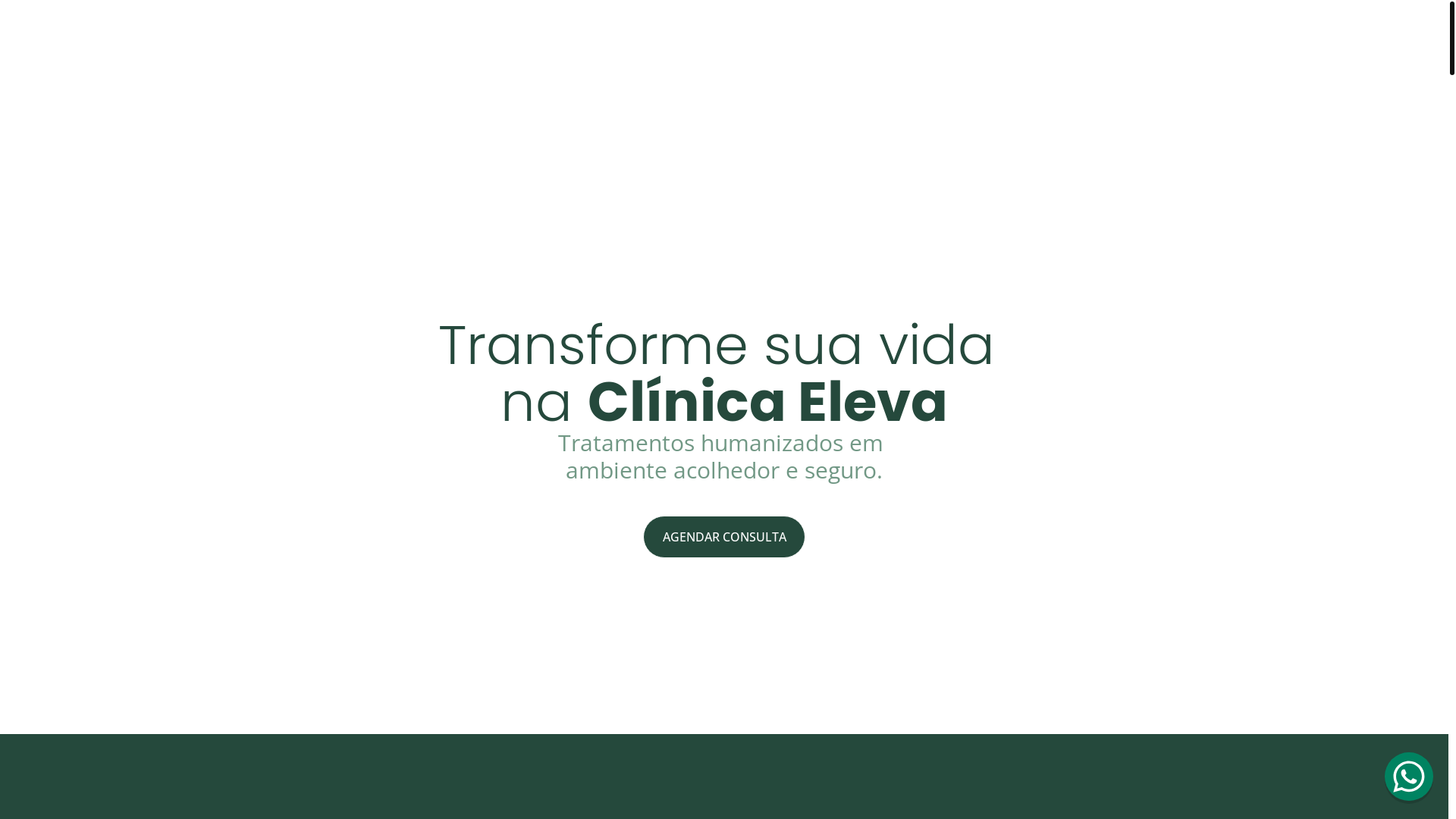 website screenshot of https://clinicamedicaeleva.com.br/