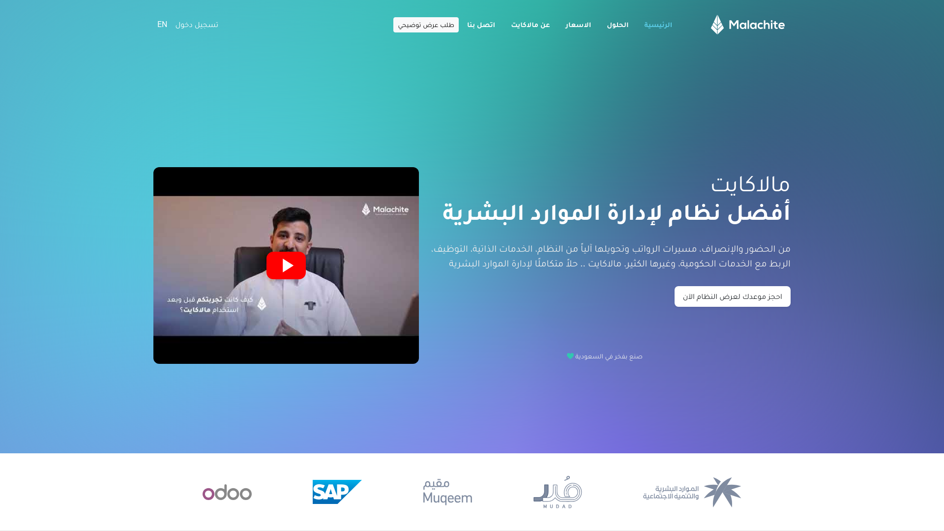 website screenshot of https://malachite-marketing.com
