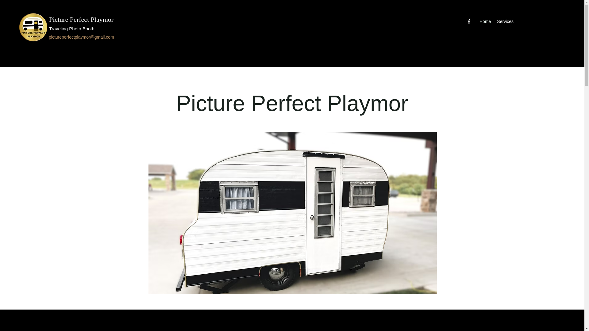 website screenshot of https://pictureperfectplaymor.com/