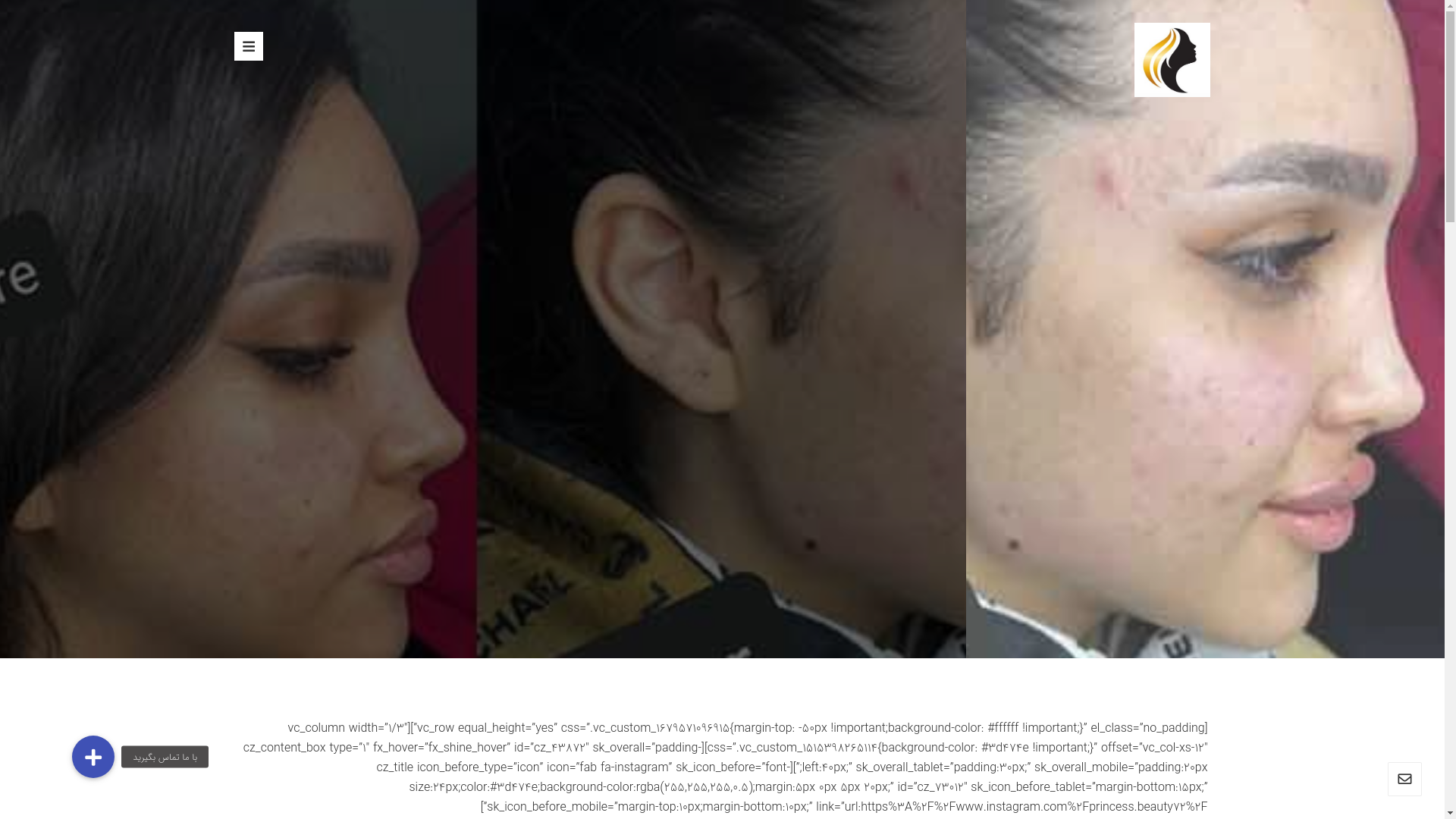 website screenshot of https://zhivanpoosheshsanat.ir/