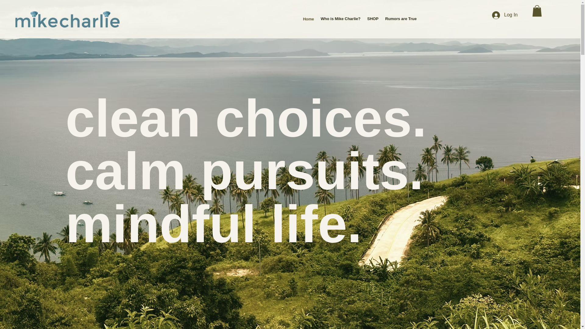 website screenshot of https://mikecharlieco.com/