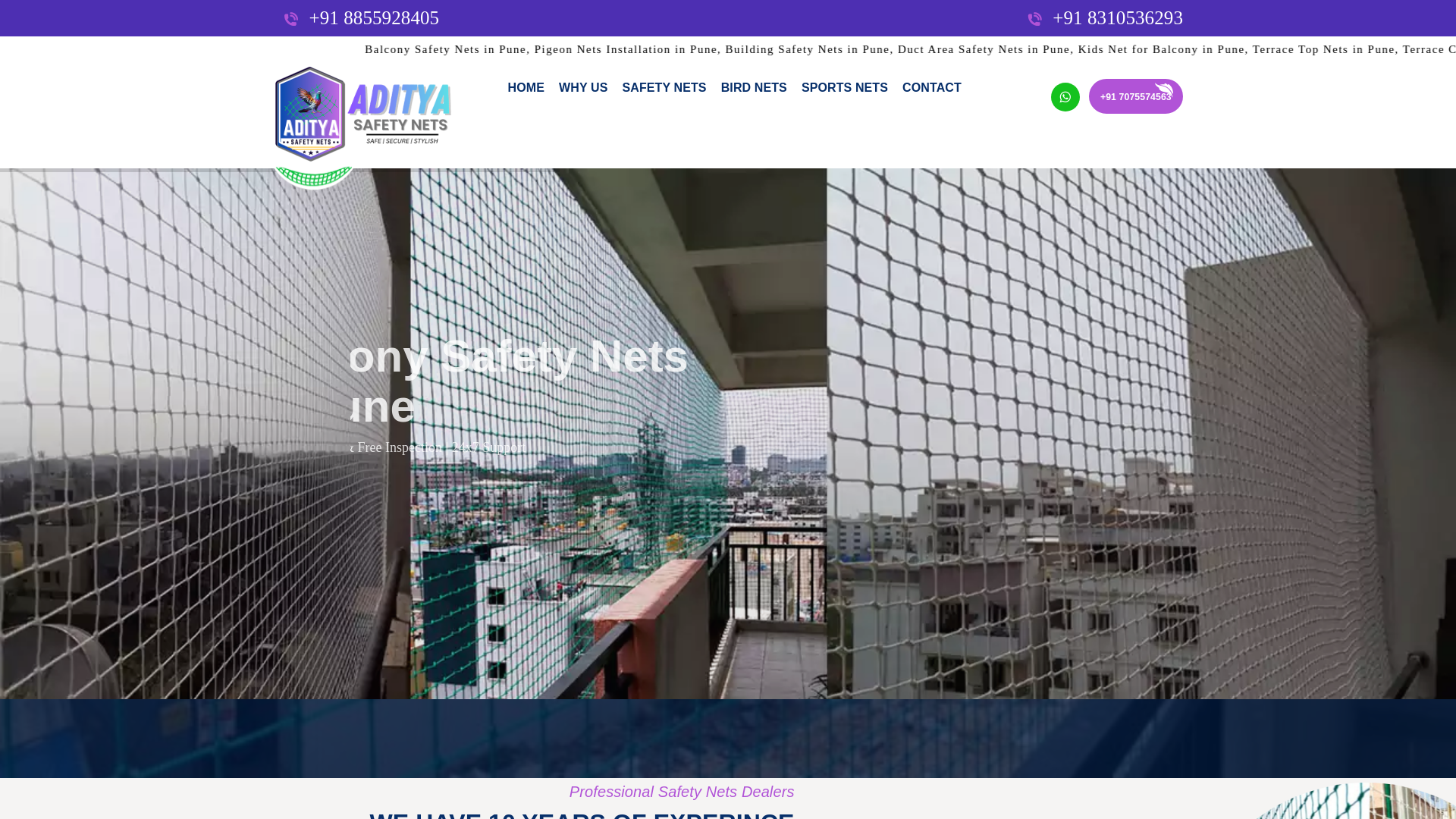 website screenshot of https://birdsafetynetforbalconypune.com/