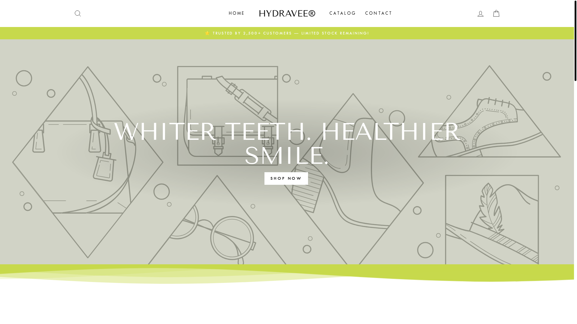 website screenshot of https://hydravee.com/