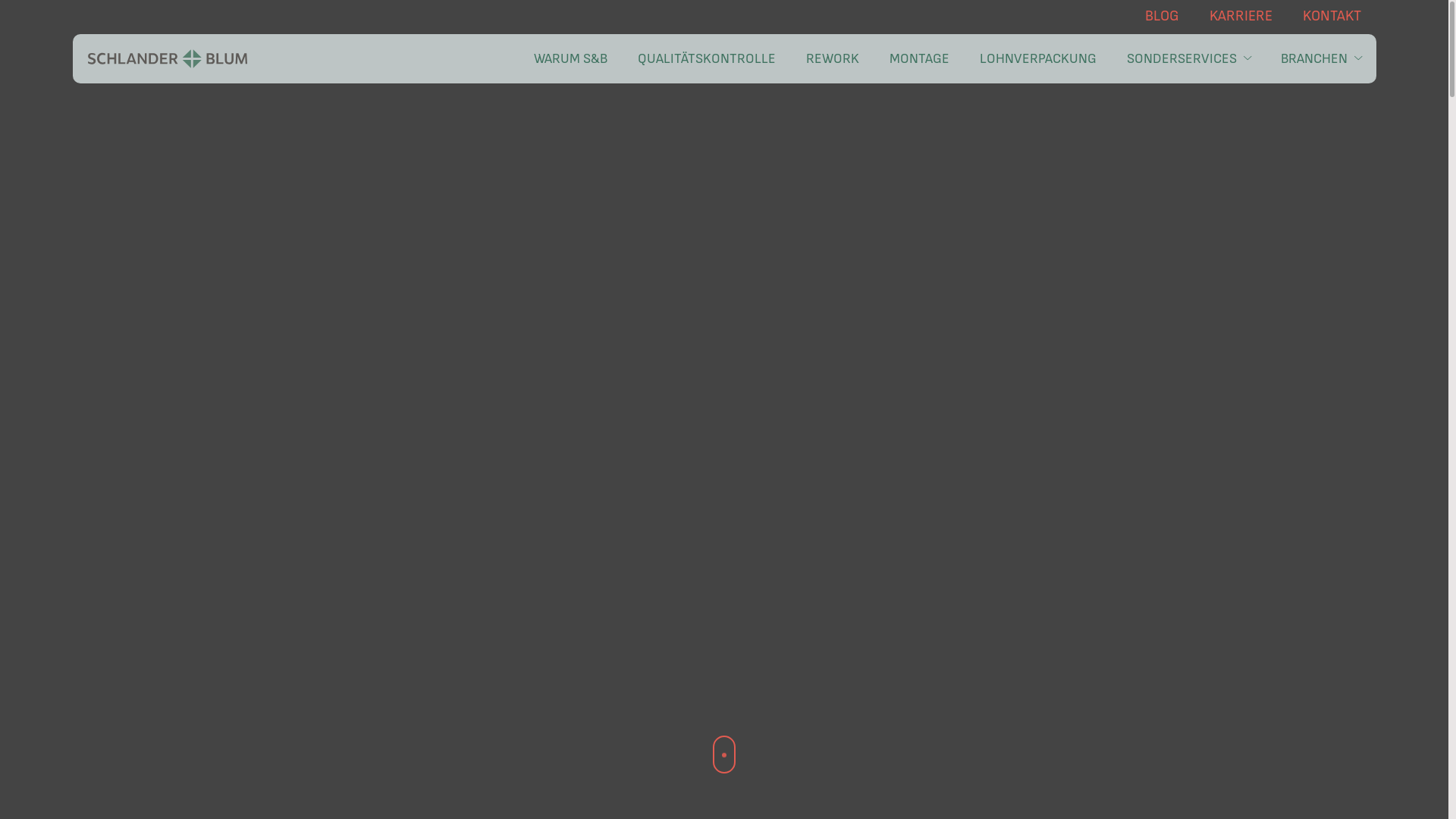 website screenshot of https://kontakt-schlanderundblum.com/