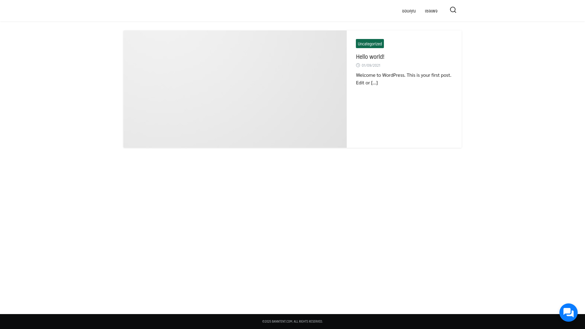 website screenshot of https://banntent.com/