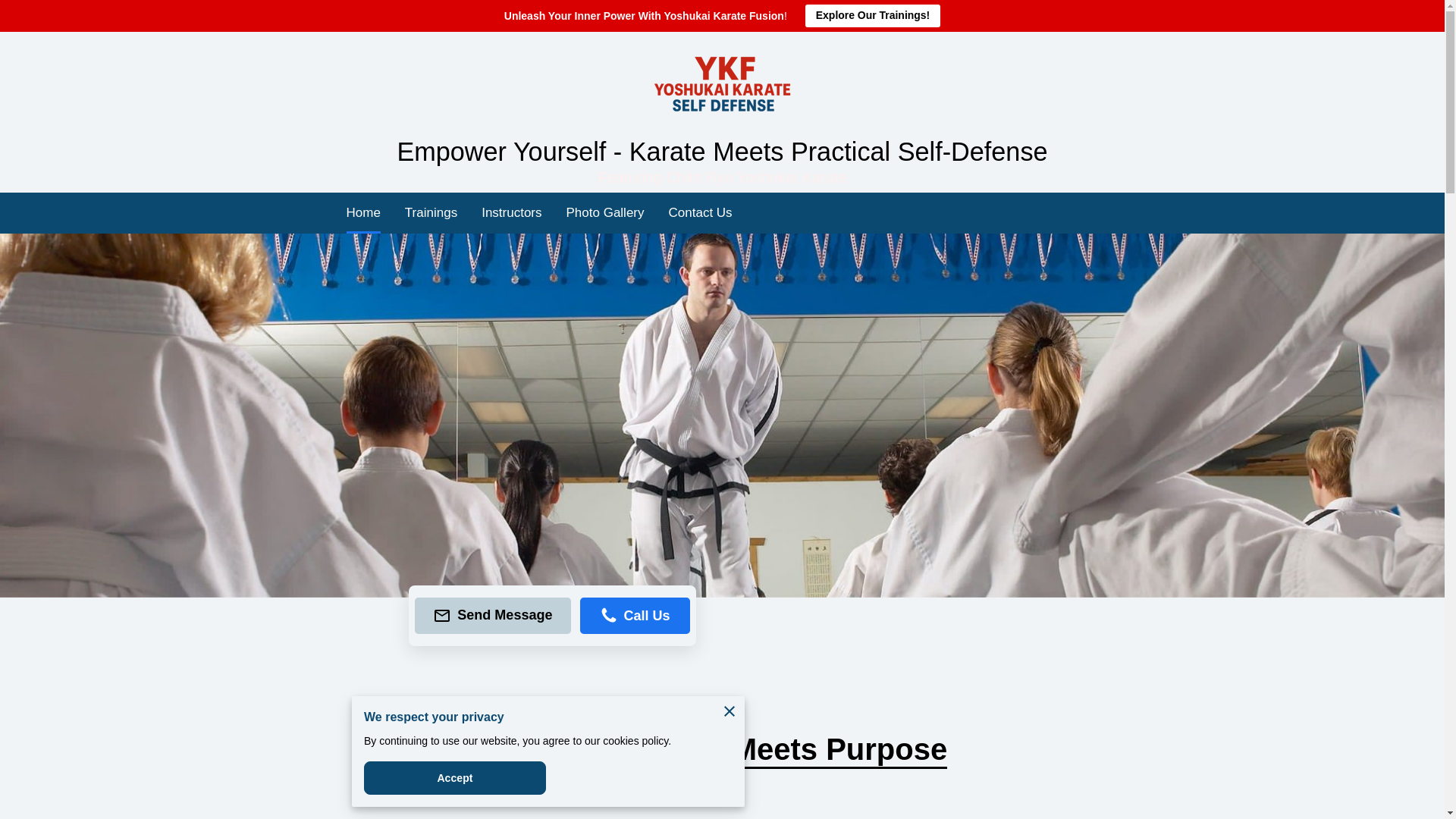website screenshot of https://ykfkarate.com/