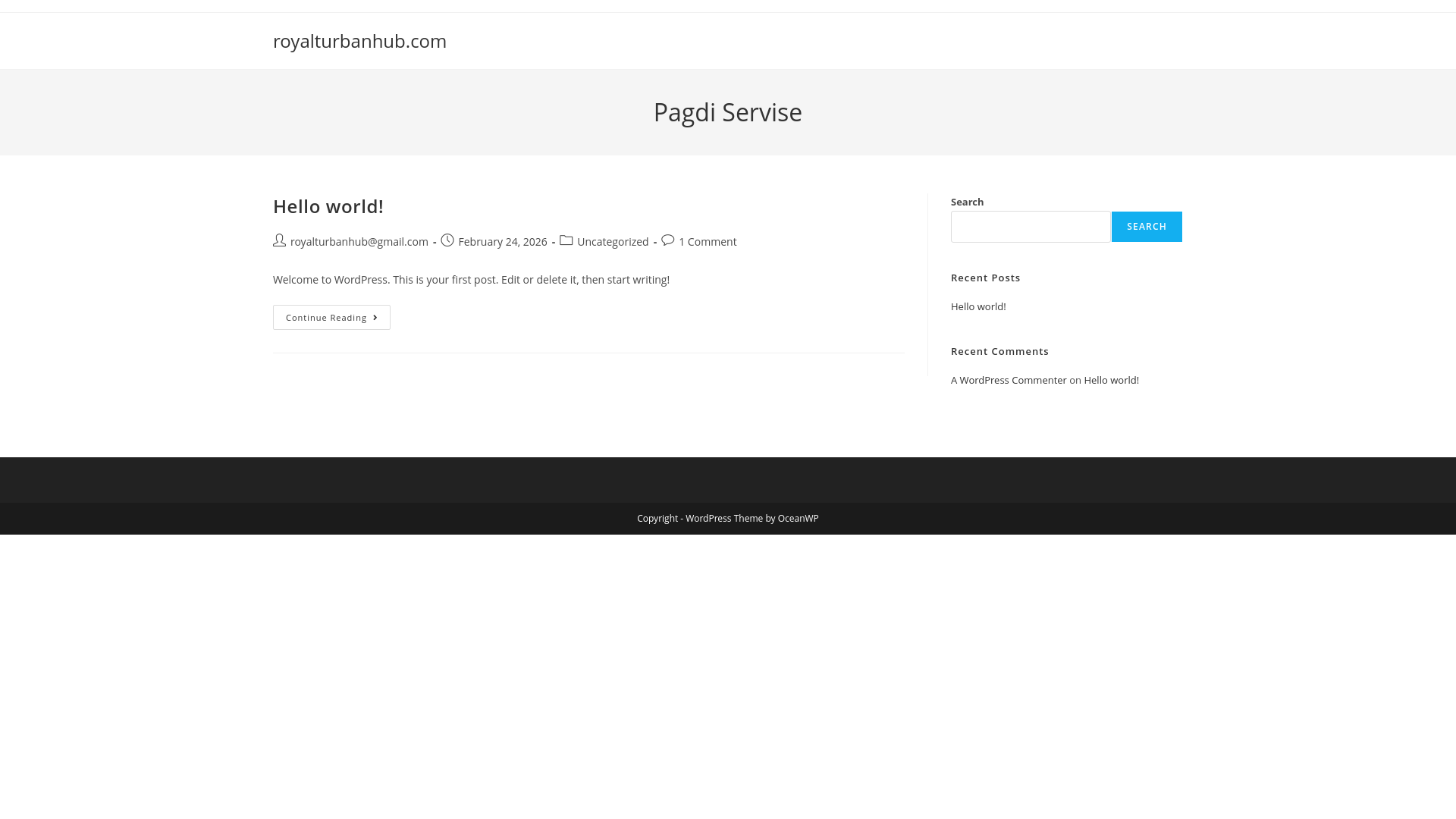 website screenshot of https://royalturbanhub.com/
