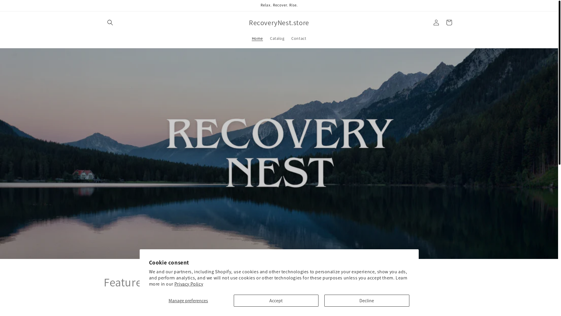 website screenshot of https://recoverynest.store/