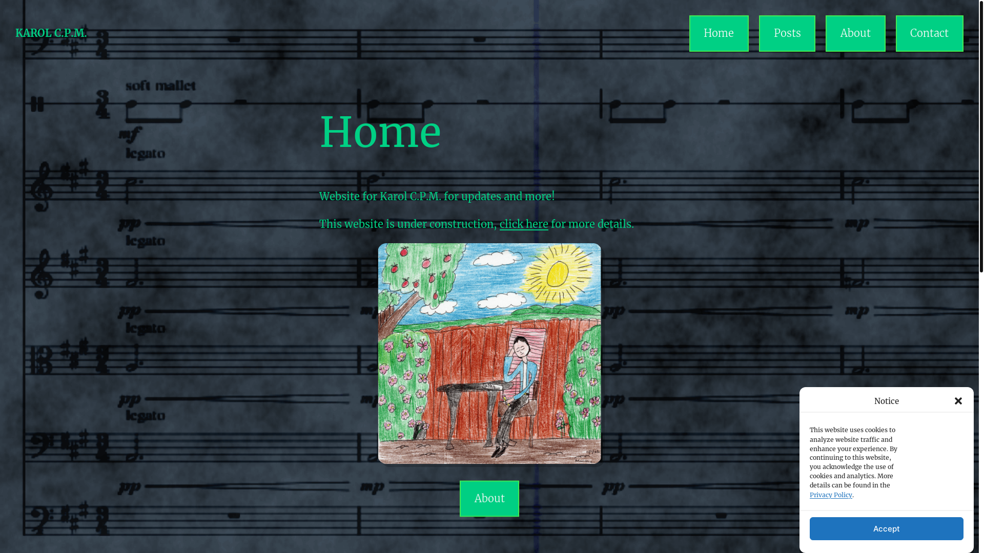website screenshot of https://karolcpm.com/