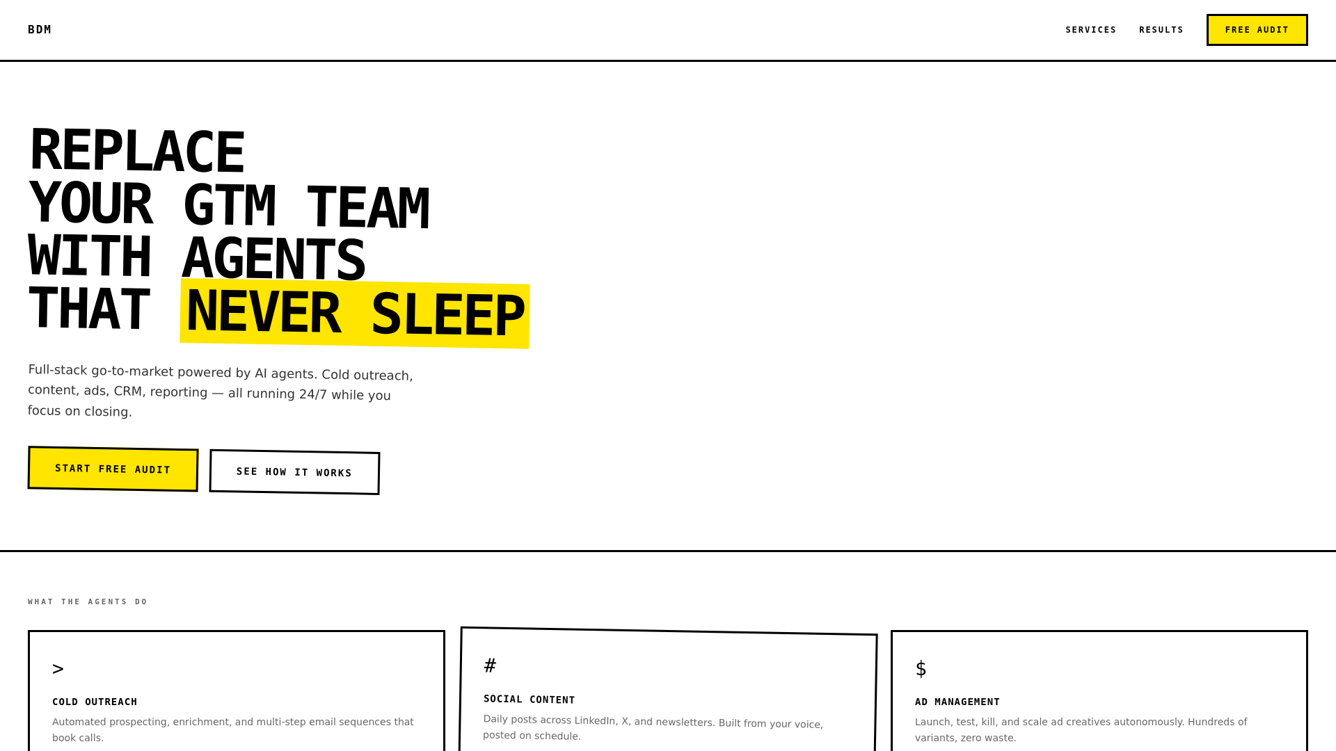 website screenshot of https://usebigdoormarketing.com