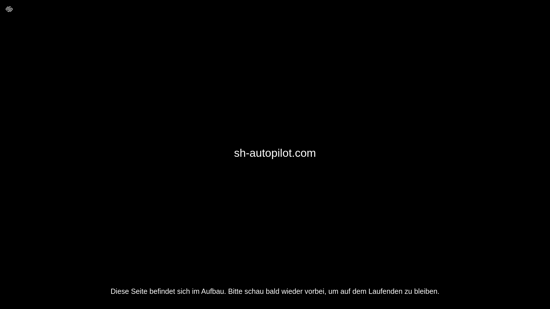 website screenshot of https://sh-autopilot.com/