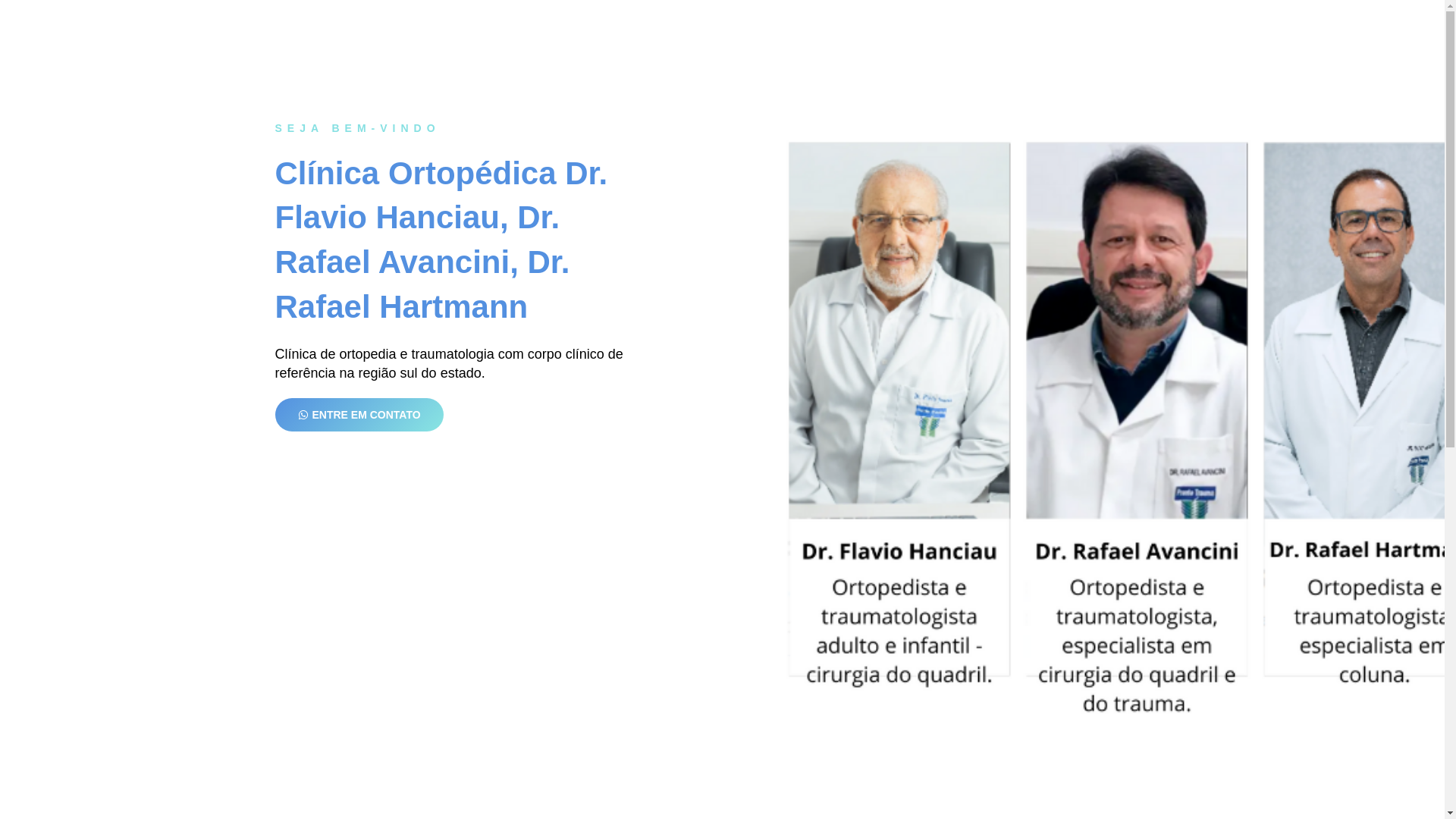 website screenshot of https://avanortopedia.com.br/